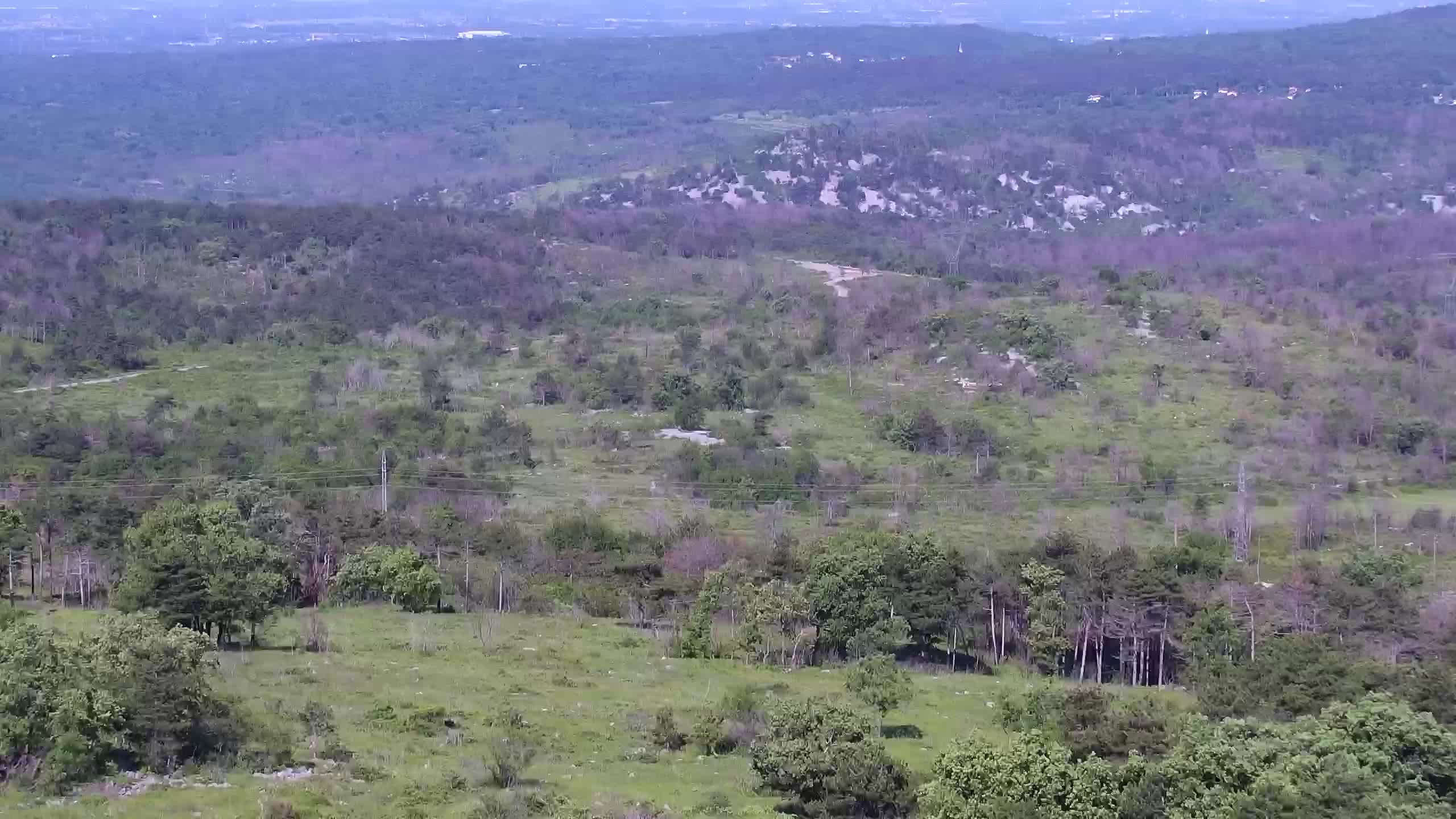 Live webcam Cerje – Miren – Kostanjevica – Slovenia
