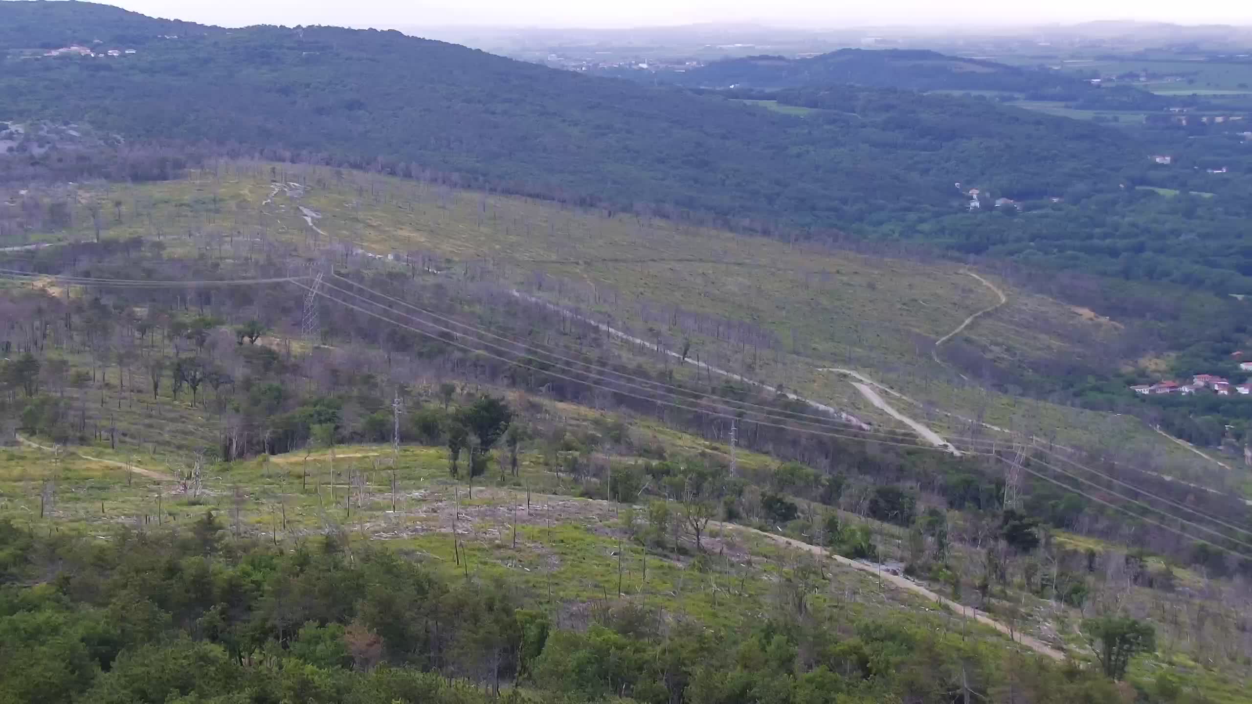 Live webcam Cerje – Miren – Kostanjevica – Slovenia