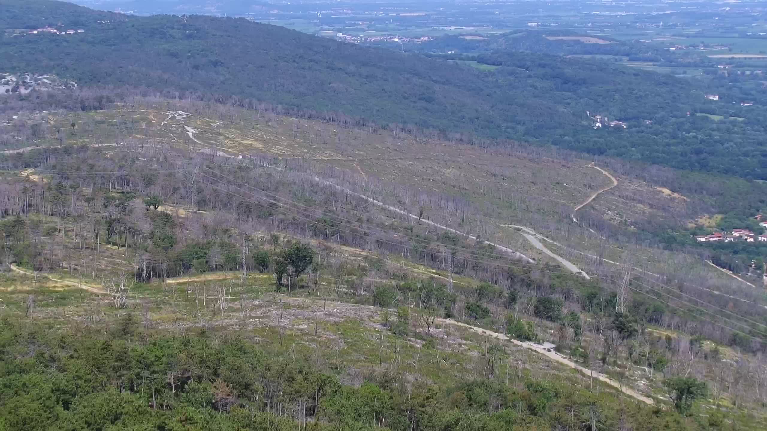 Live webcam Cerje – Miren – Kostanjevica – Slovenia