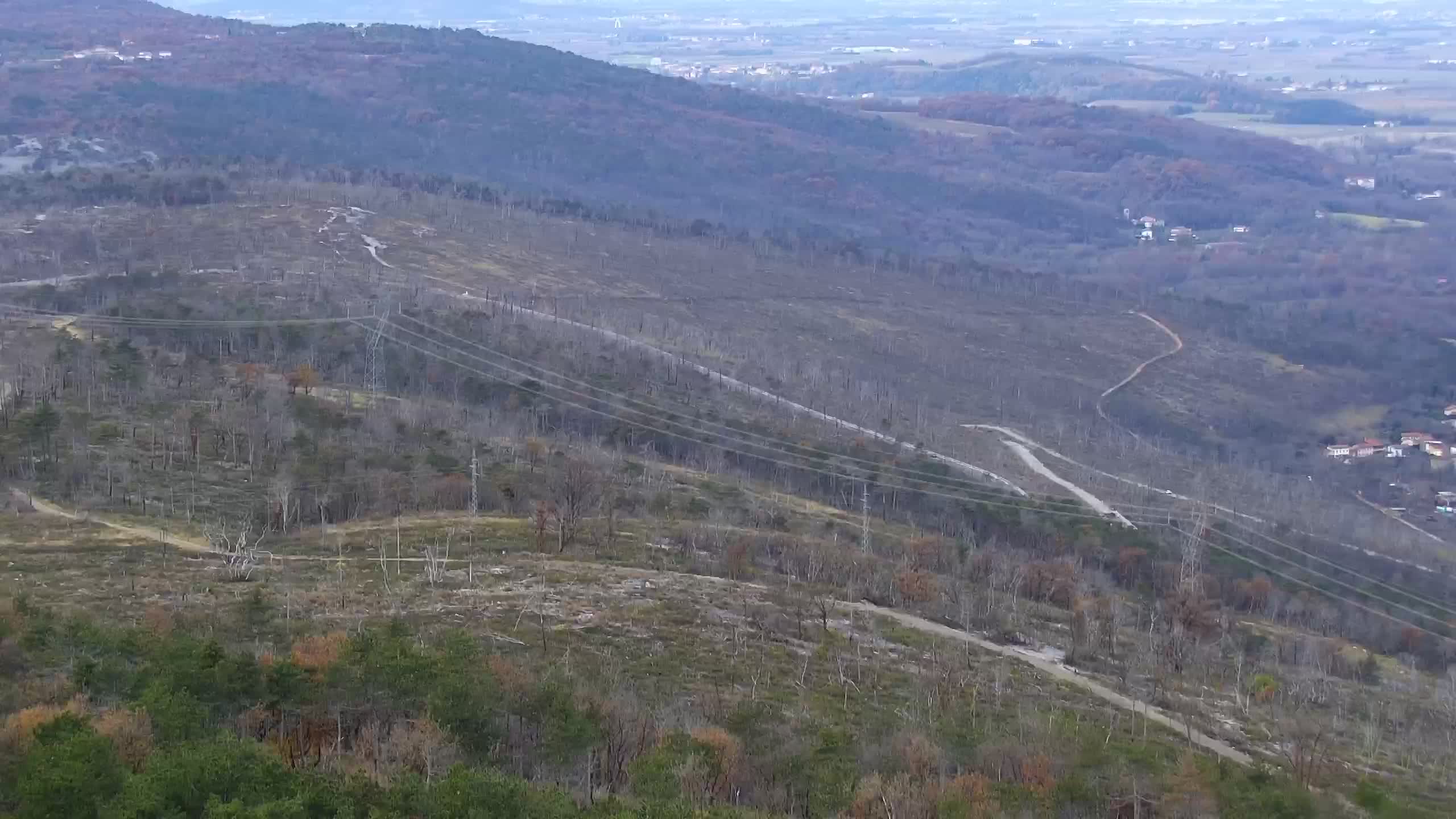 Live webcam Cerje – Miren – Kostanjevica – Slovenia