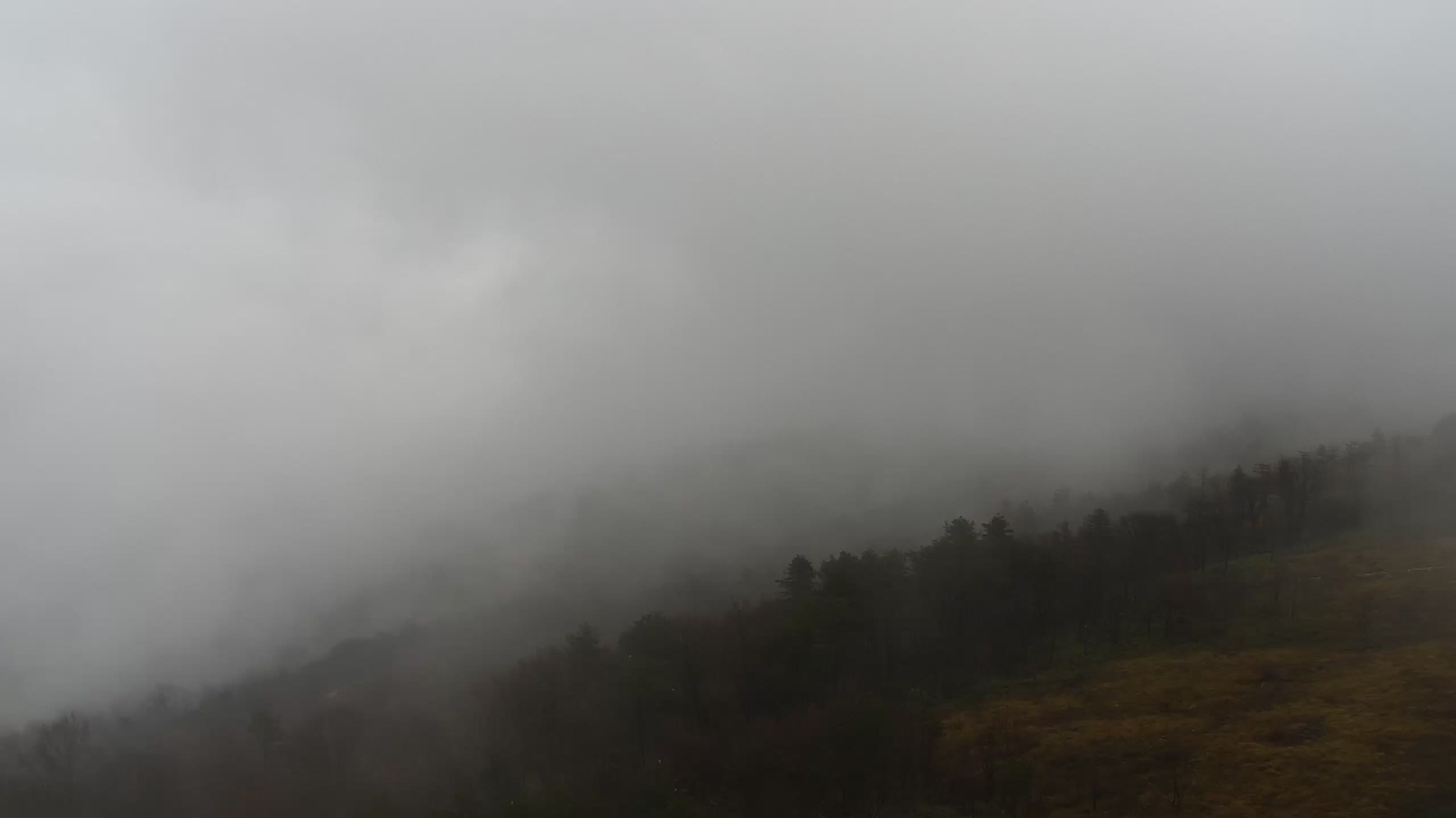 Spletna kamera Cerje – Miren – Kostanjevica – Goriška