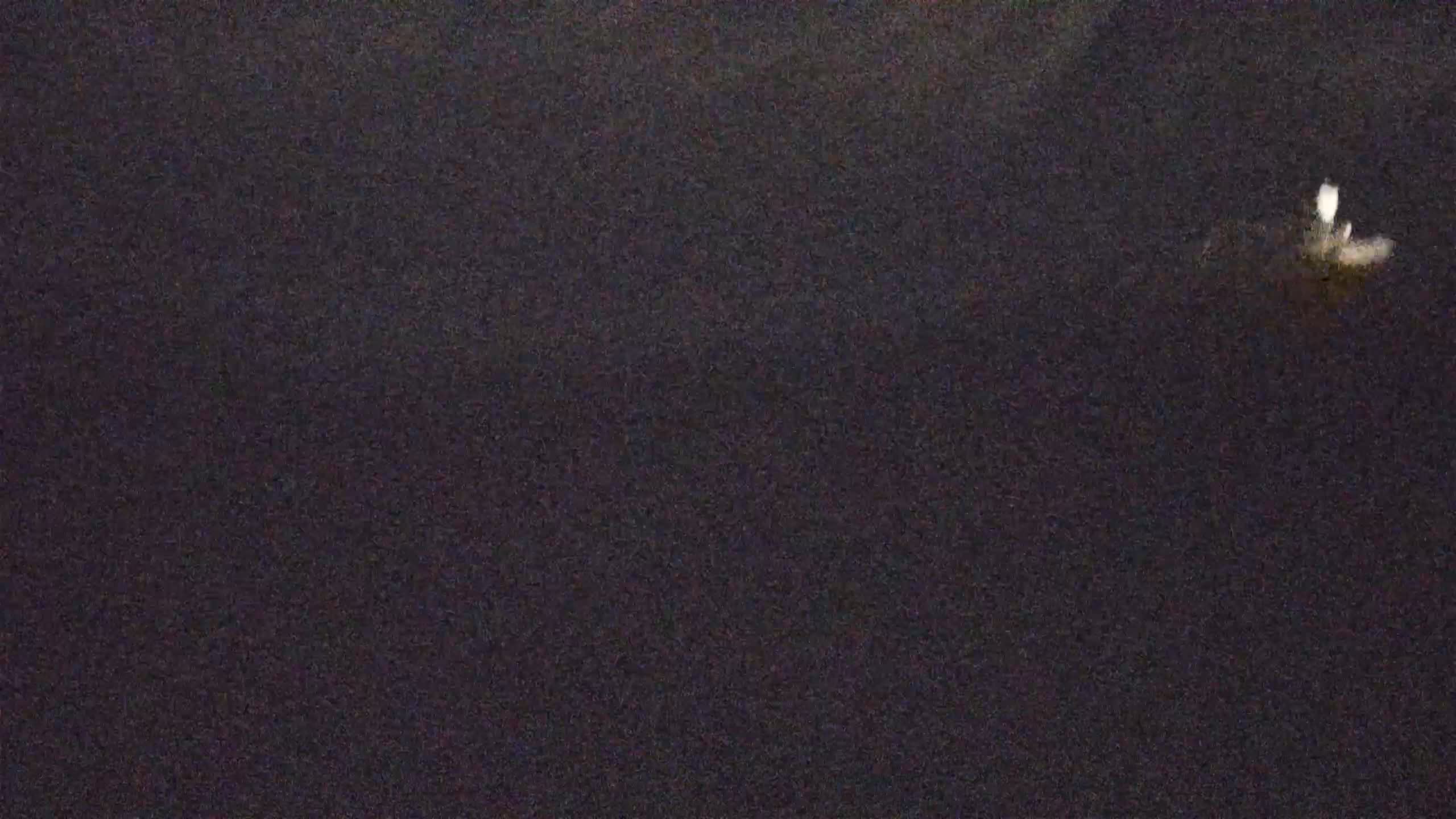 Live-Webcam Cerje – Miren – Kostanjevica – Slowenien