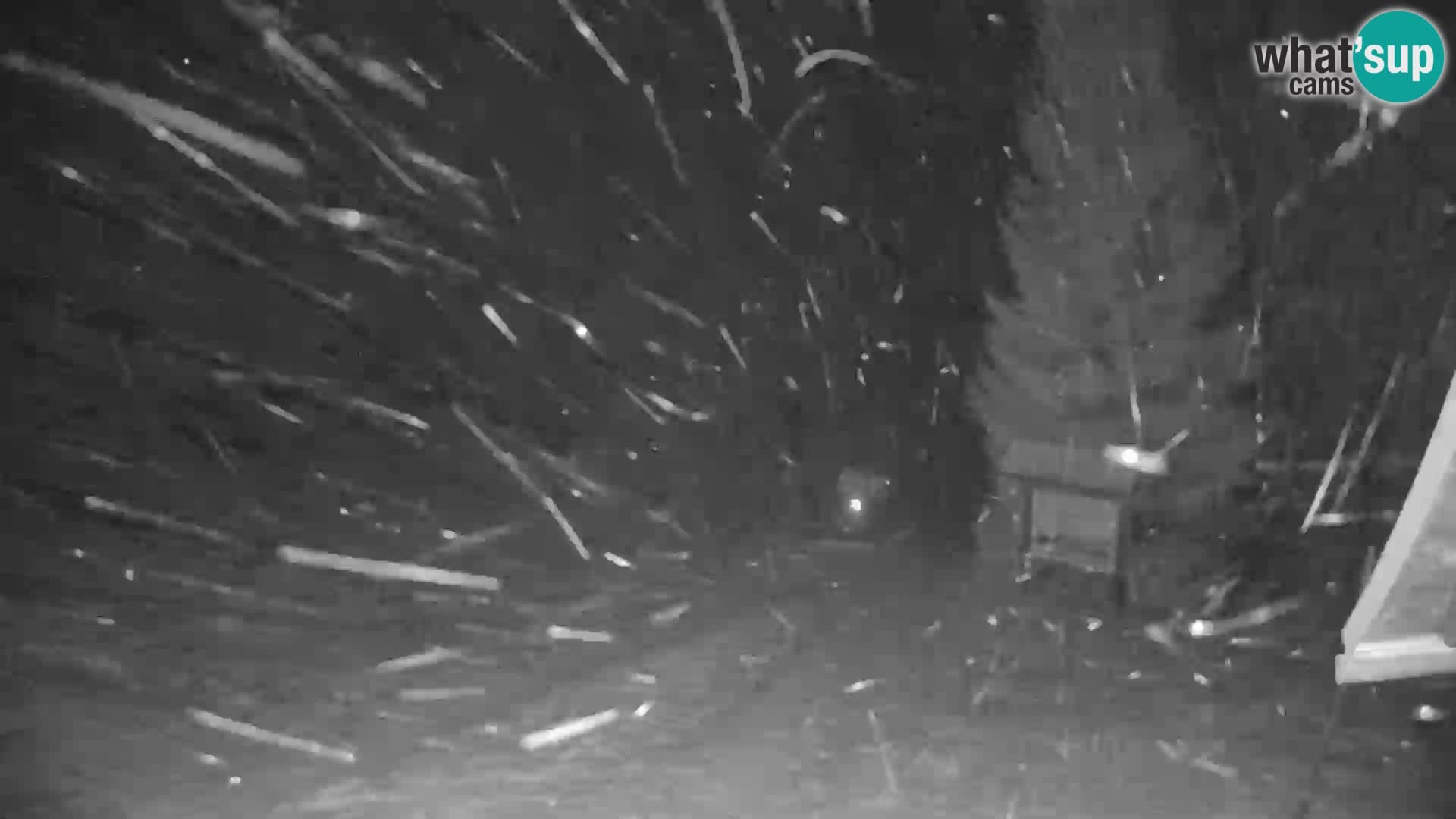 Škola skijanja Novinar – webcam skijalište Cerkno – Slovenija