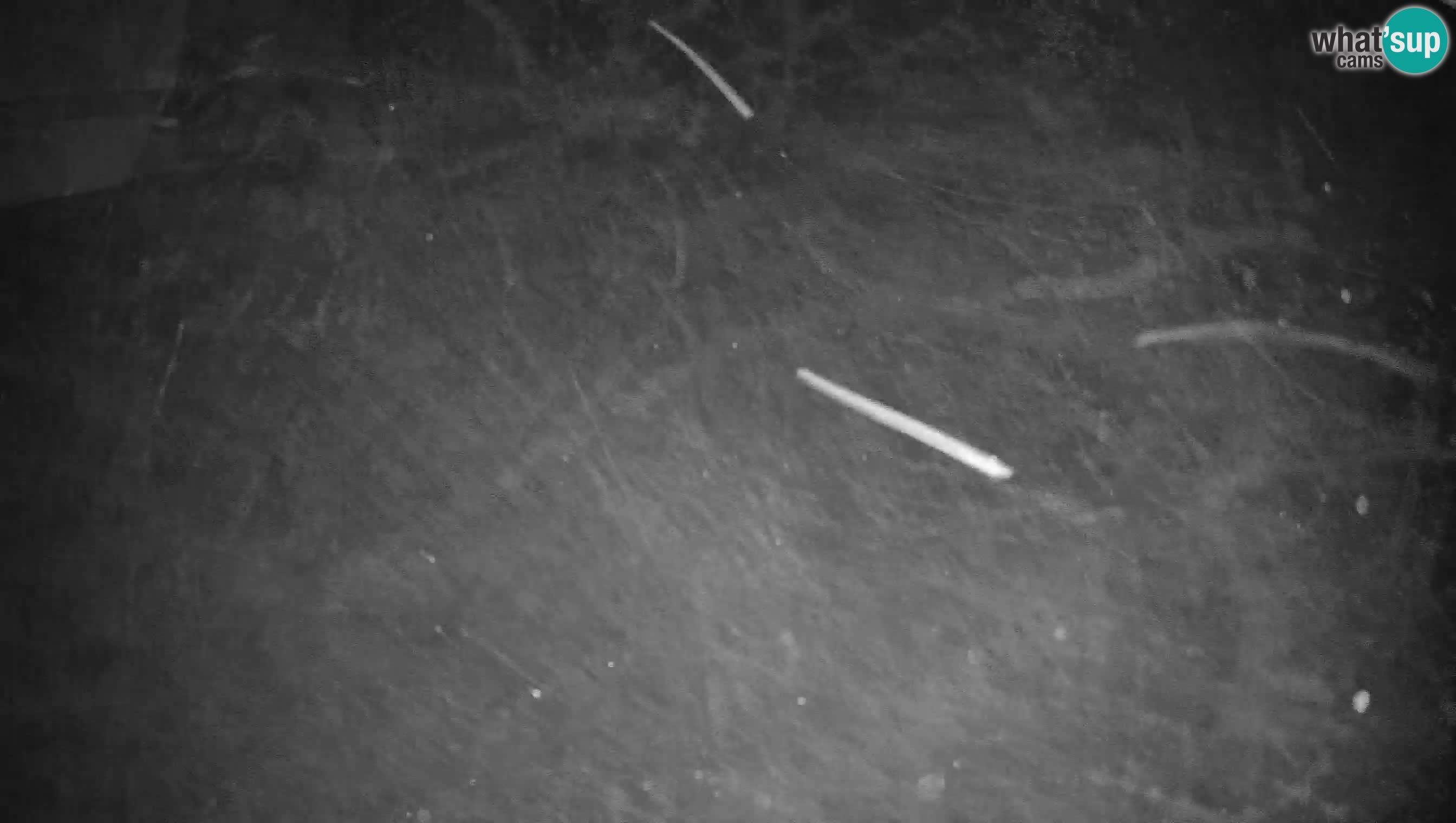 Cerkno Ski webcam Lom – Slovenia