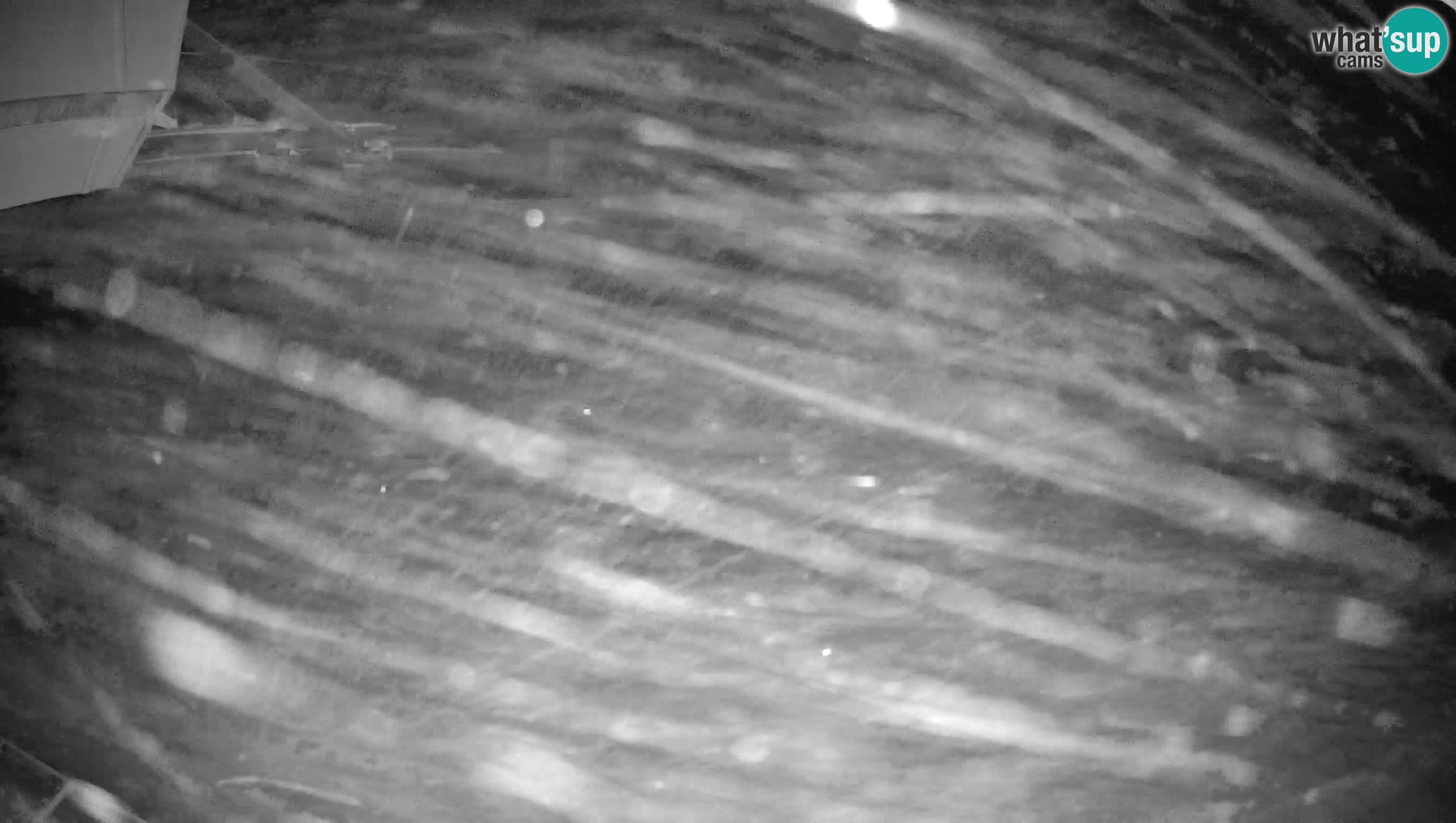 Smušišče Cerkno spletna kamera Lom zgornja proga