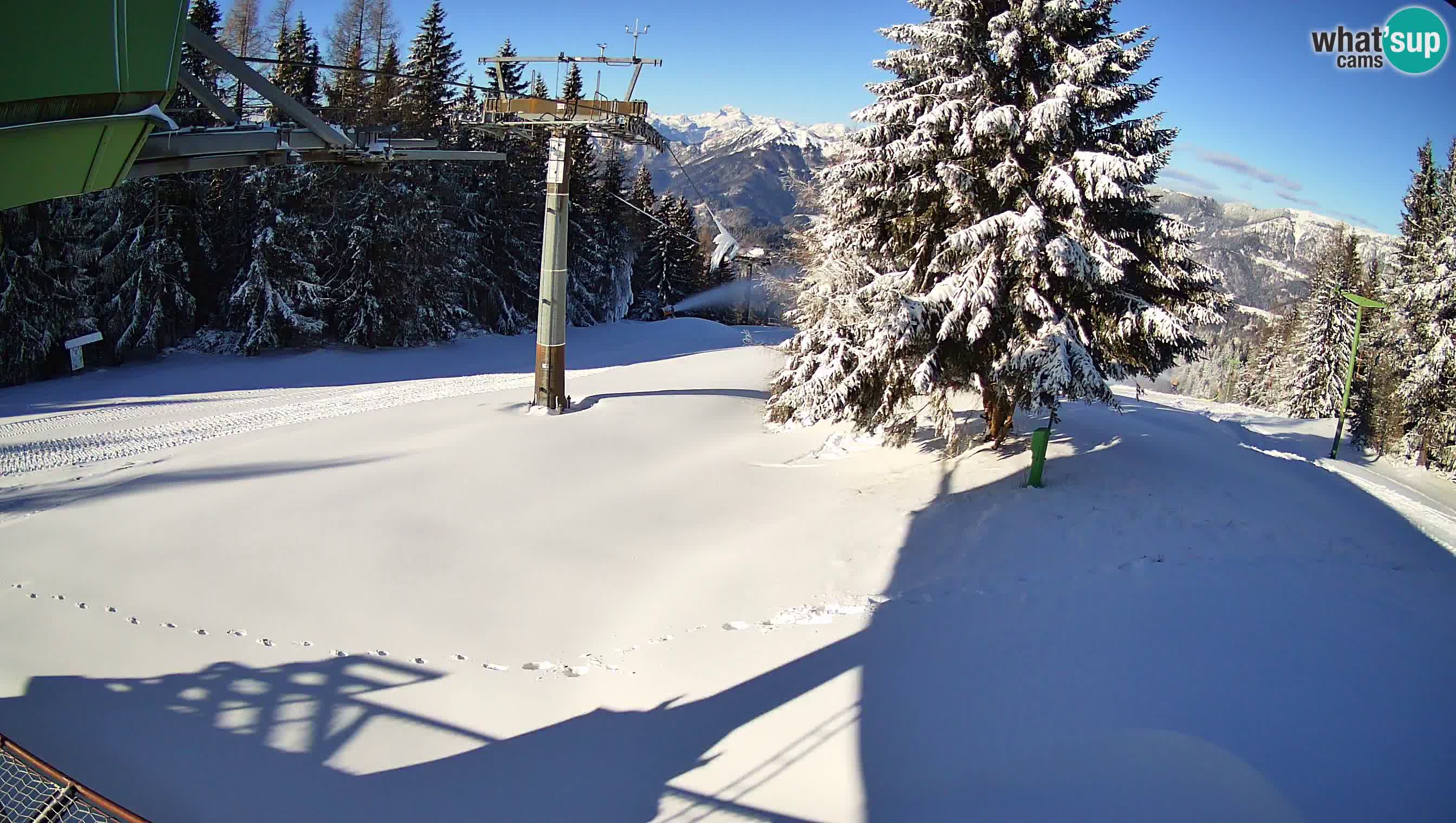 Smušišče Cerkno spletna kamera Lom zgornja proga