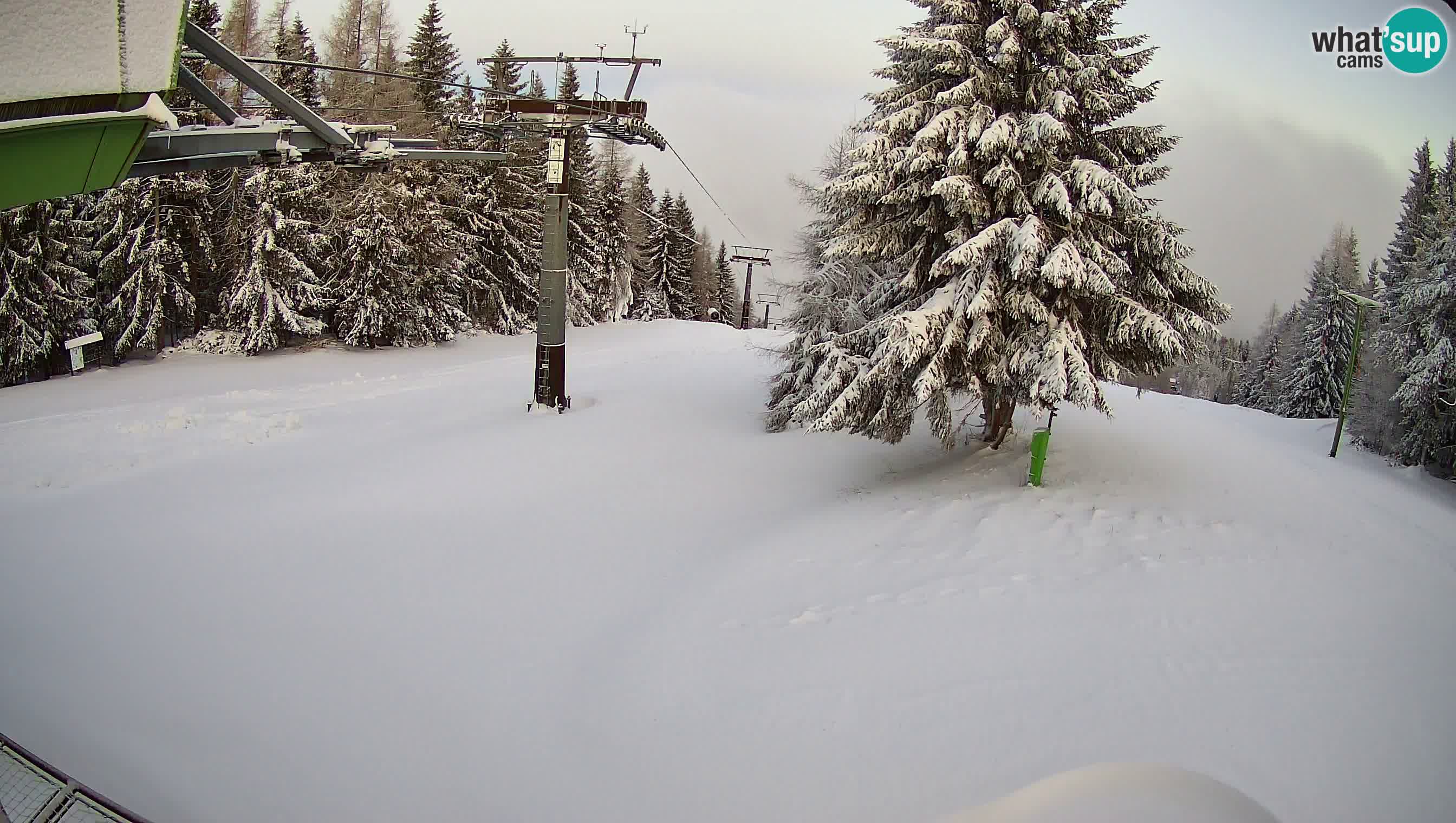 Smušišče Cerkno spletna kamera Lom zgornja proga
