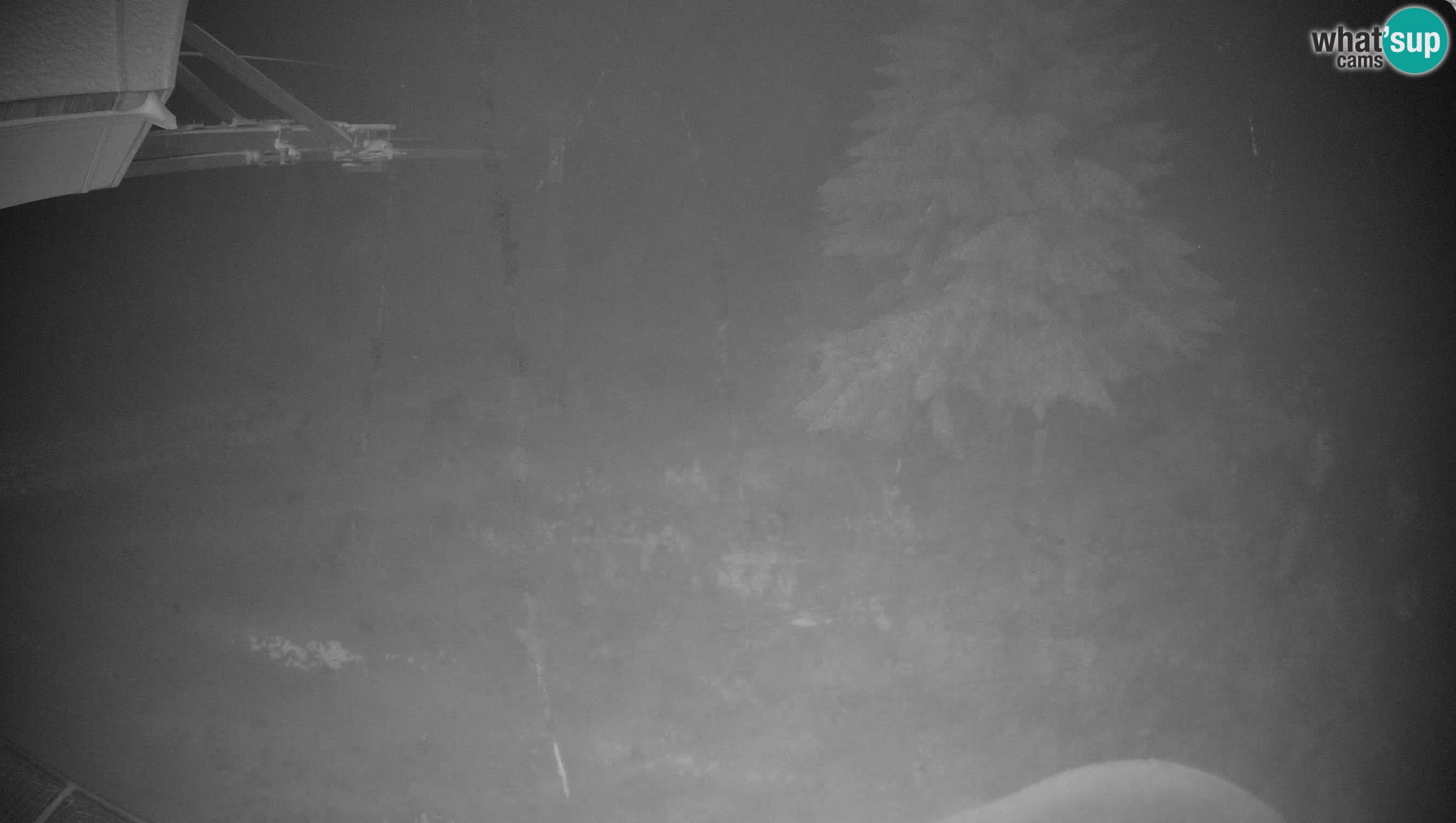 Smušišče Cerkno spletna kamera Lom zgornja proga