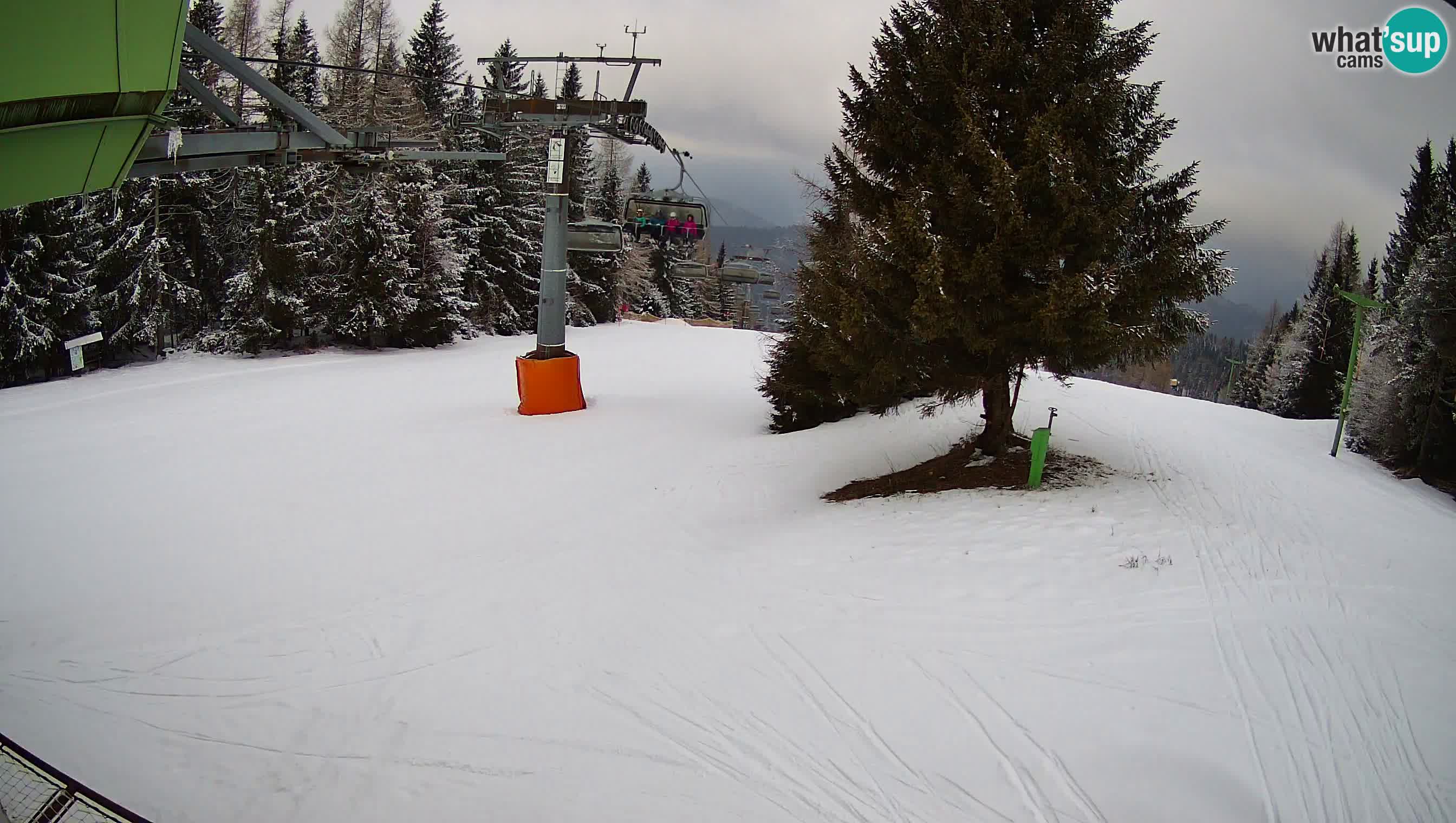 Ski Cerkno webcam Lom – Slovenia