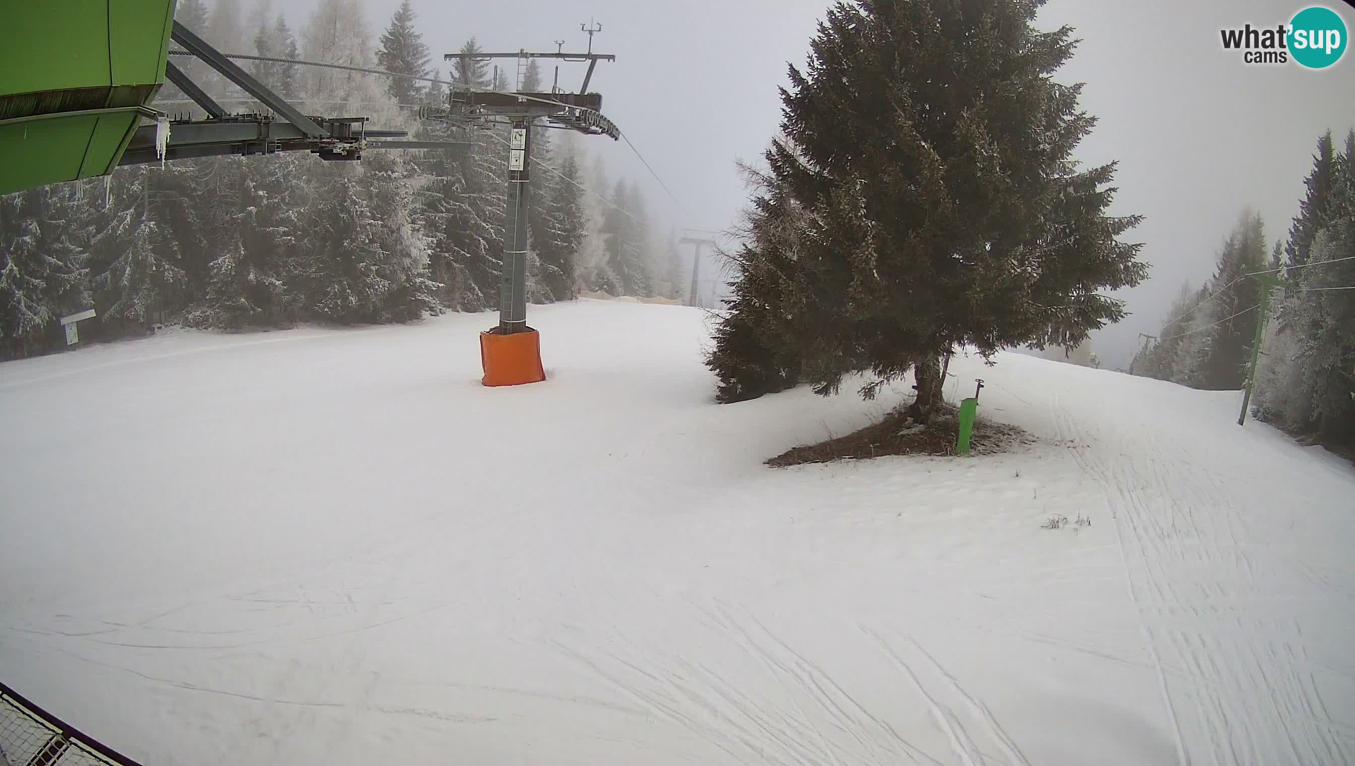 Smušišče Cerkno spletna kamera Lom zgornja proga