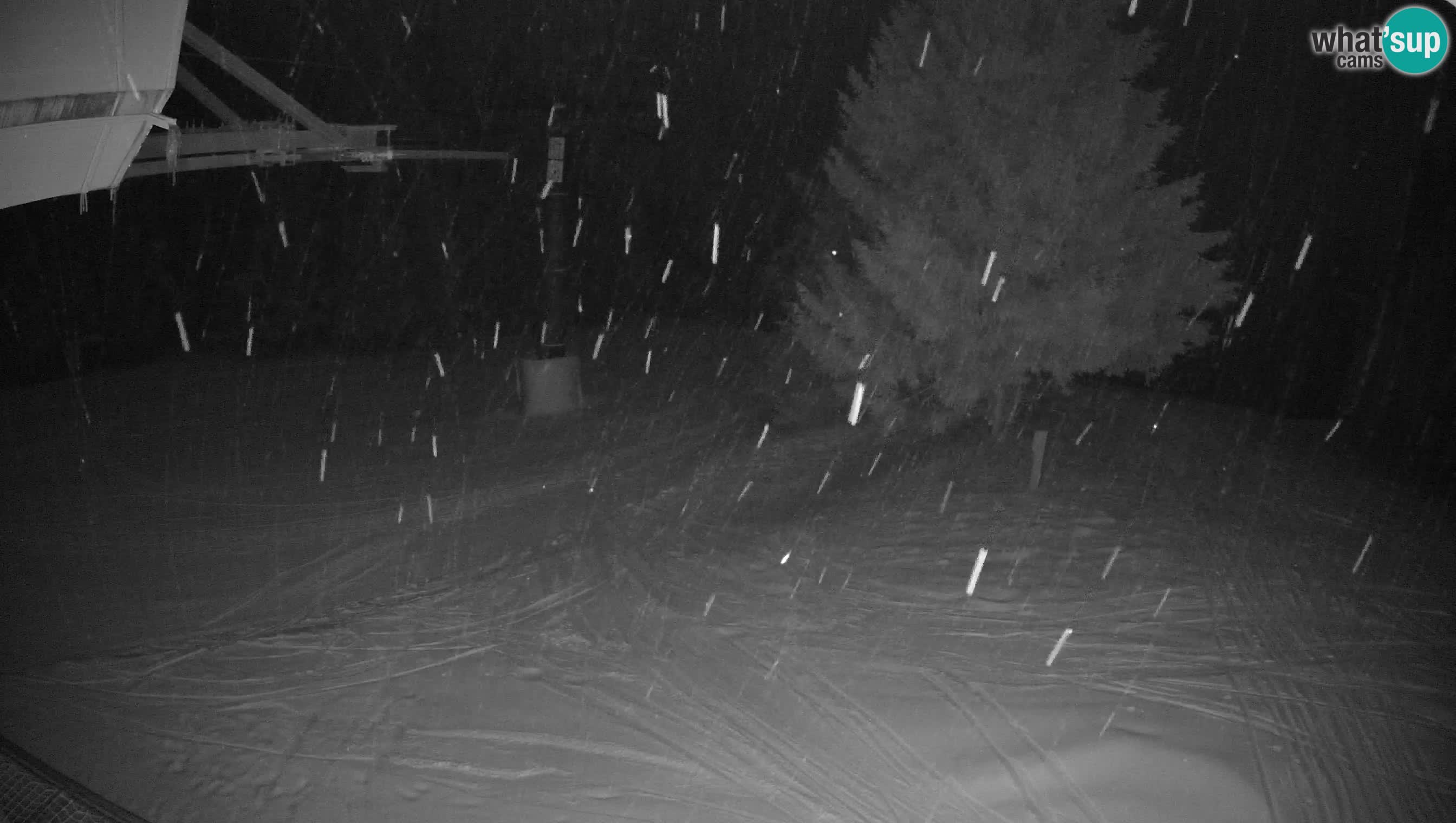 Smušišče Cerkno spletna kamera Lom zgornja proga