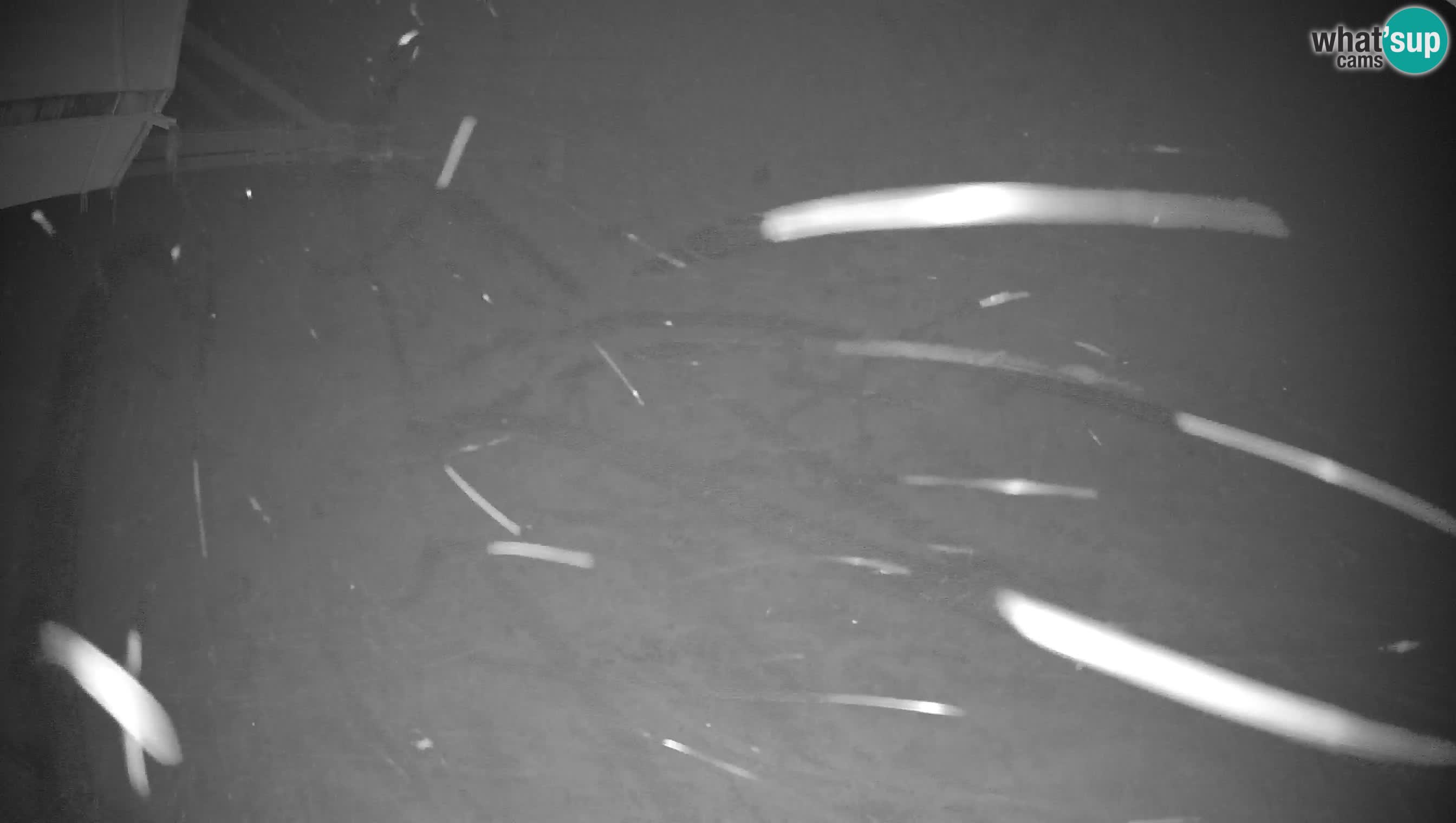 Centre de ski de Cerkno webcam Lom – Slovénie