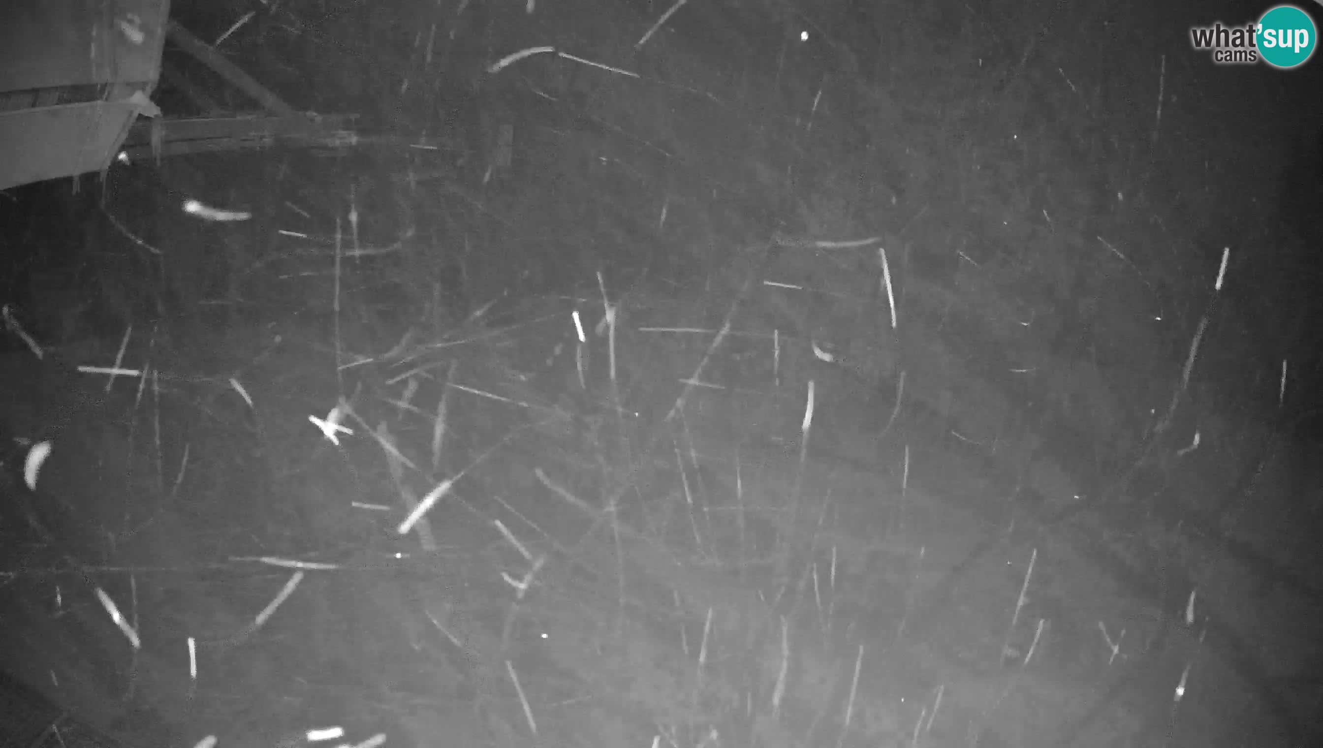 Ski Cerkno webcam Lom – Slovenia