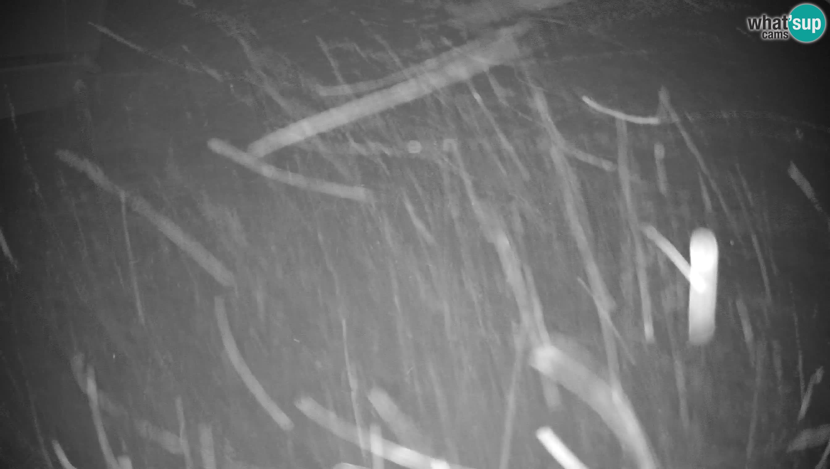 Centre de ski de Cerkno webcam Lom – Slovénie