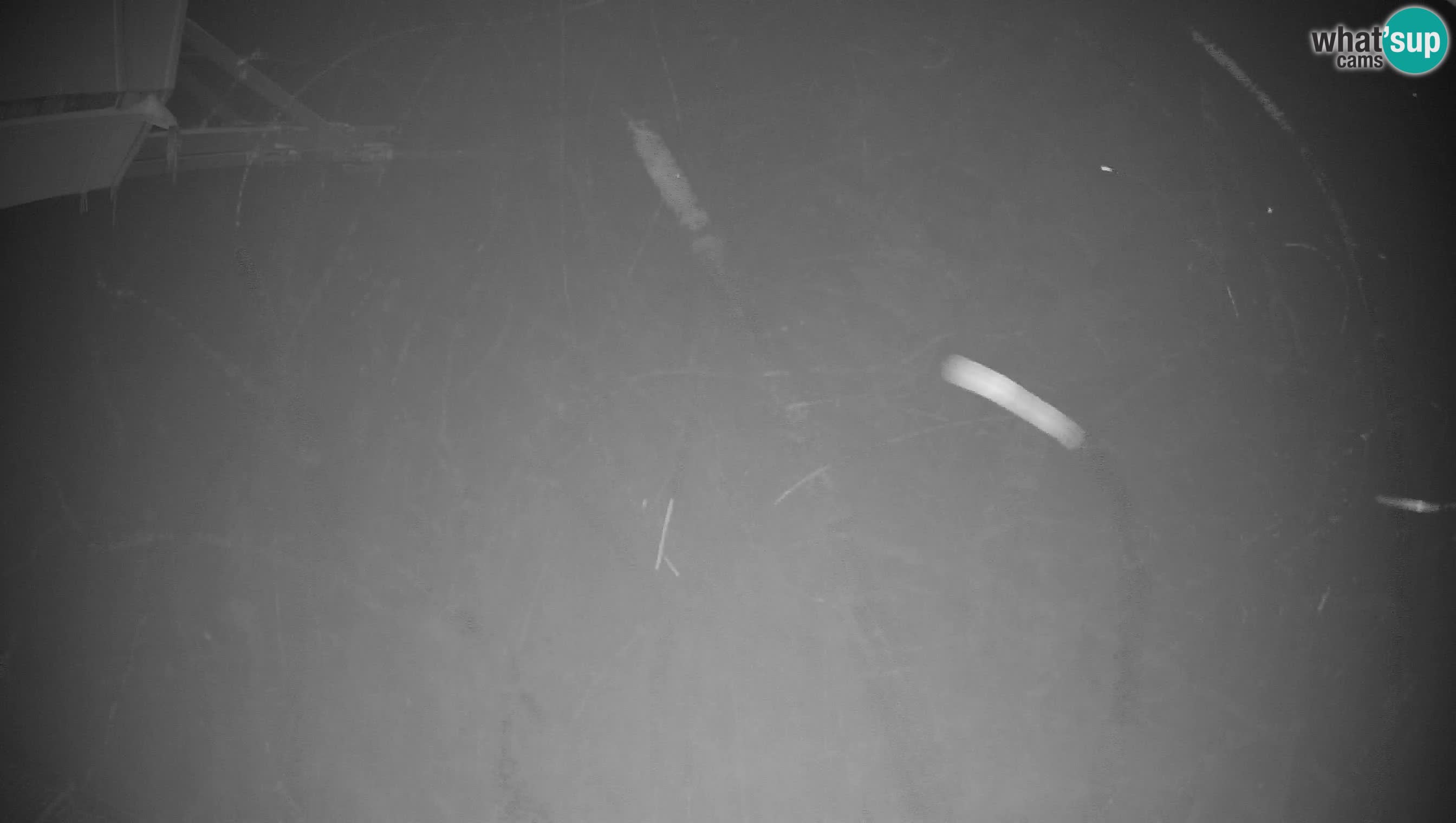 Ski Cerkno webcam Lom – Slovenia