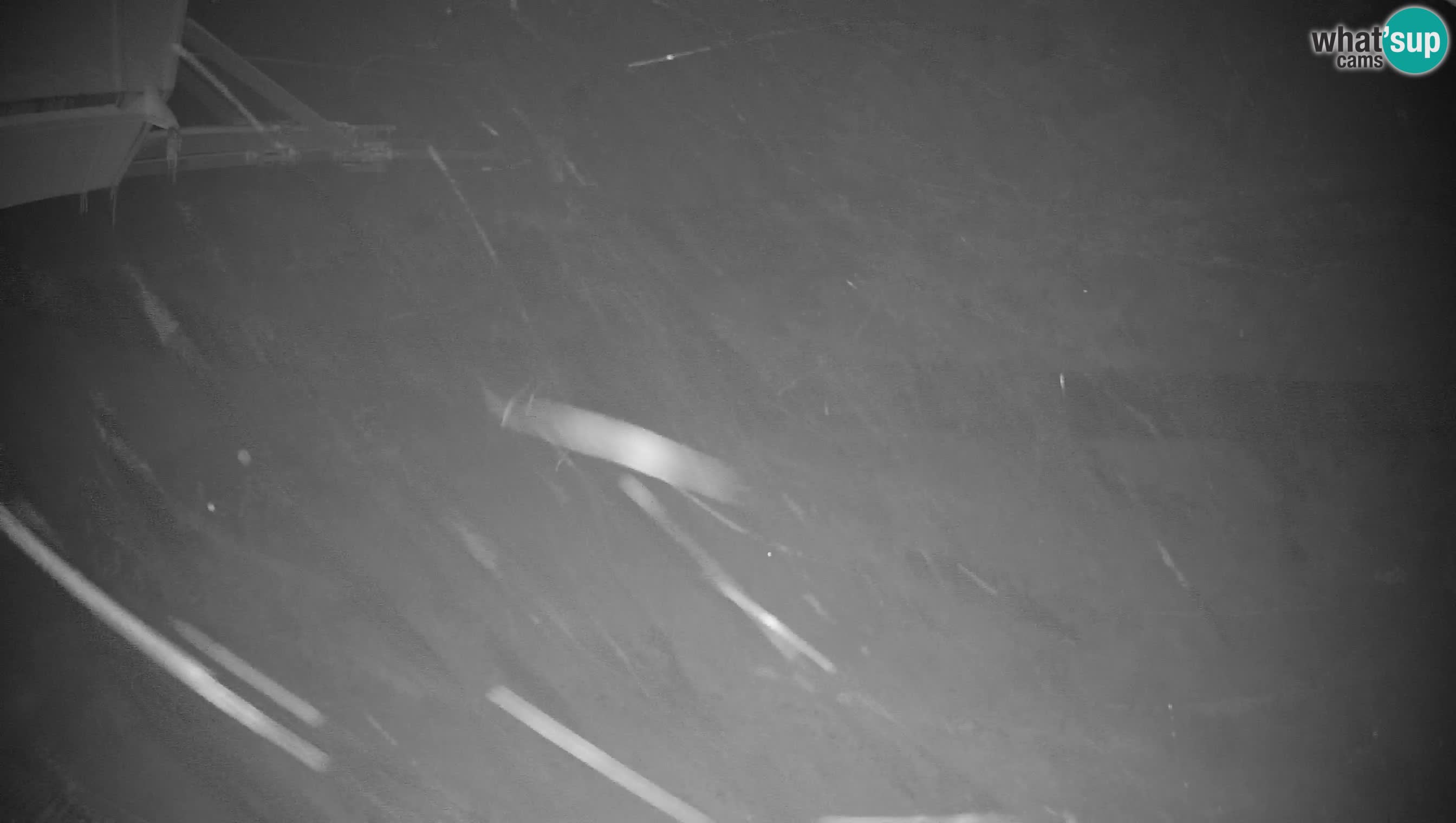 Ski Cerkno webcam Lom – Slovenia