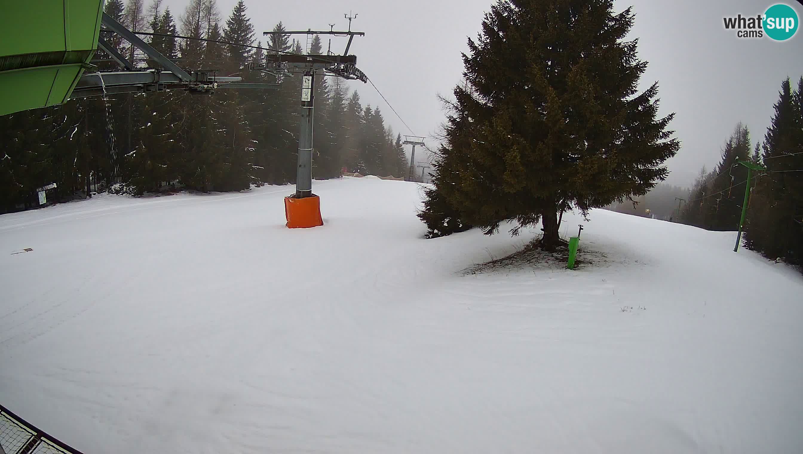 Smušišče Cerkno spletna kamera Lom zgornja proga