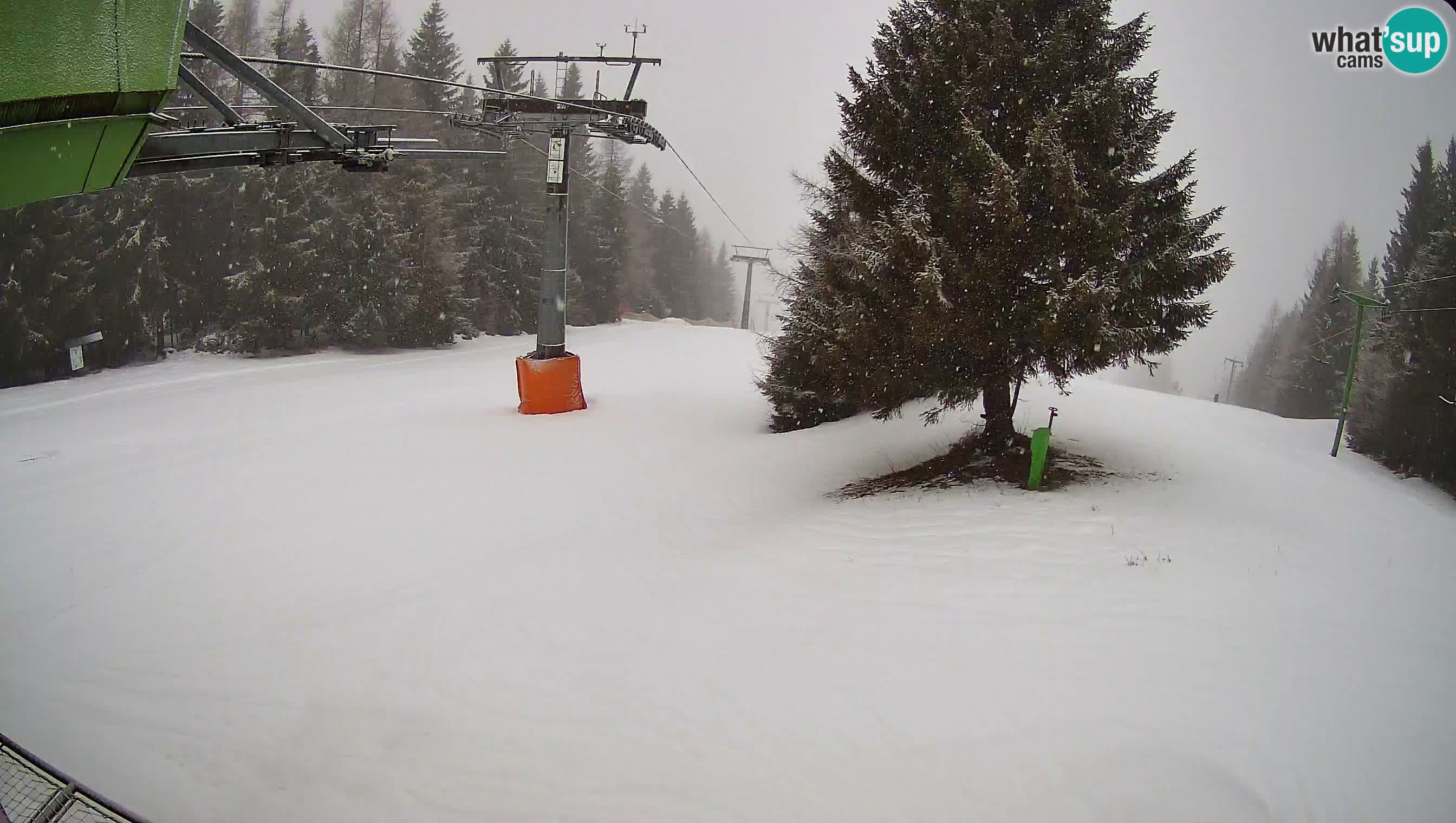 Ski Cerkno webcam Lom – Slovenia