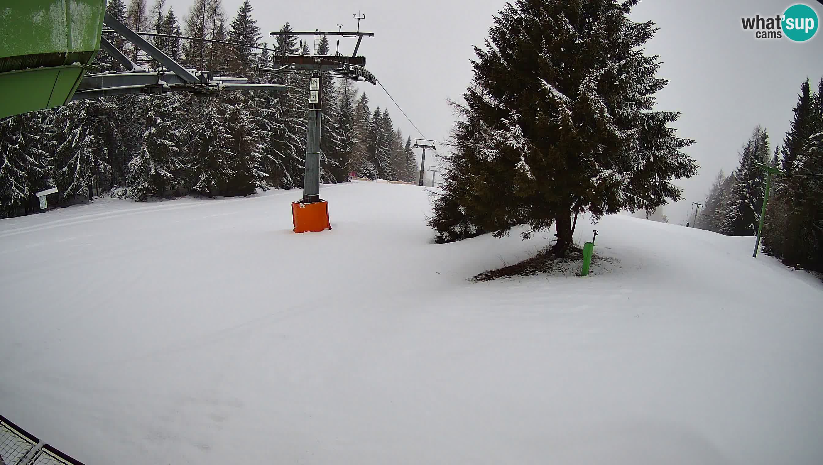 Smušišče Cerkno spletna kamera Lom zgornja proga