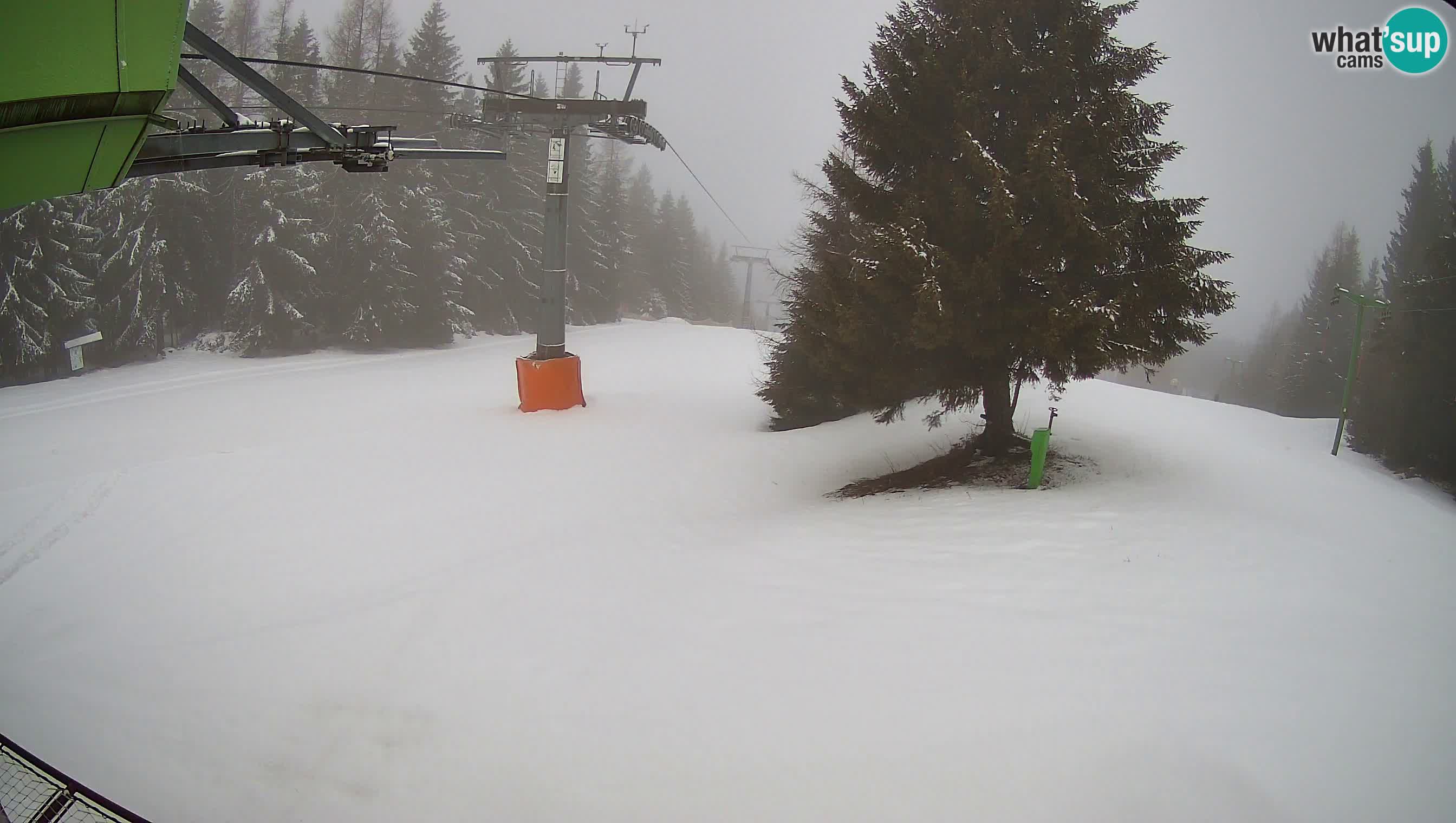 Smušišče Cerkno spletna kamera Lom zgornja proga