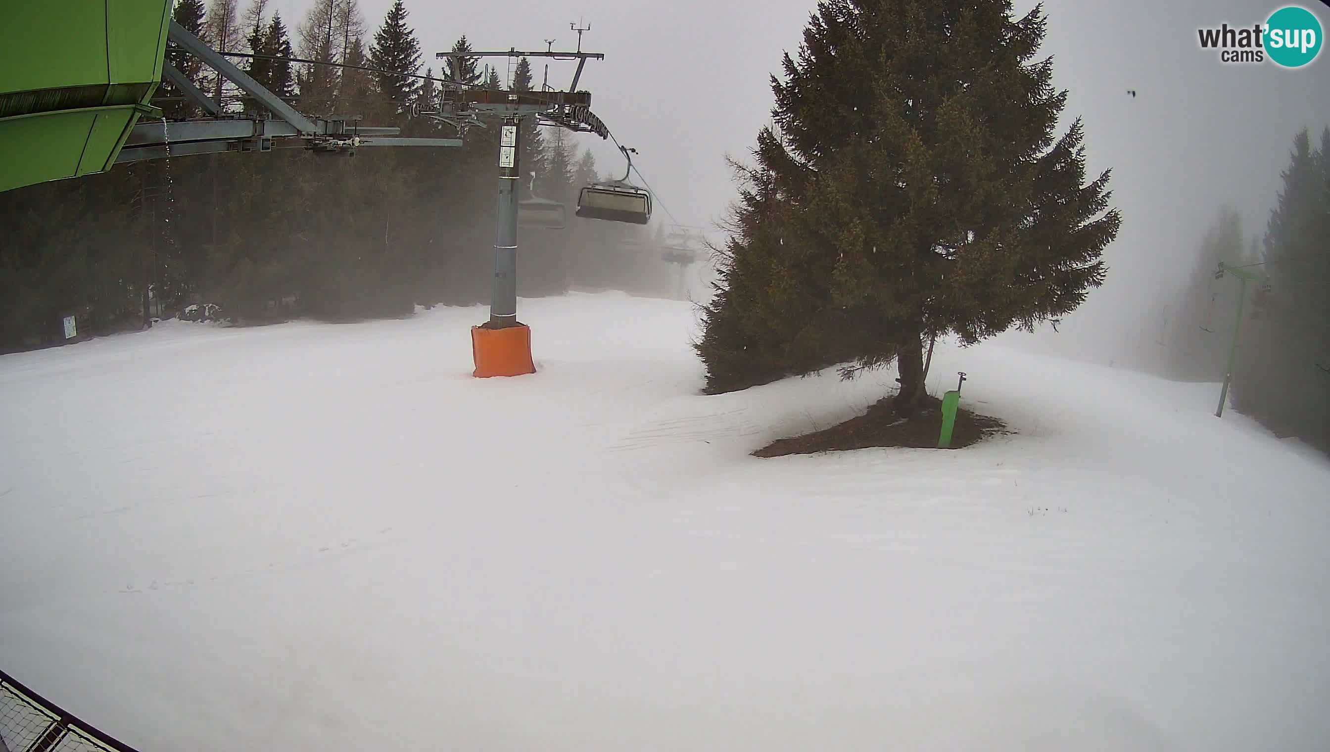 Ski Cerkno webcam Lom – Slovenia