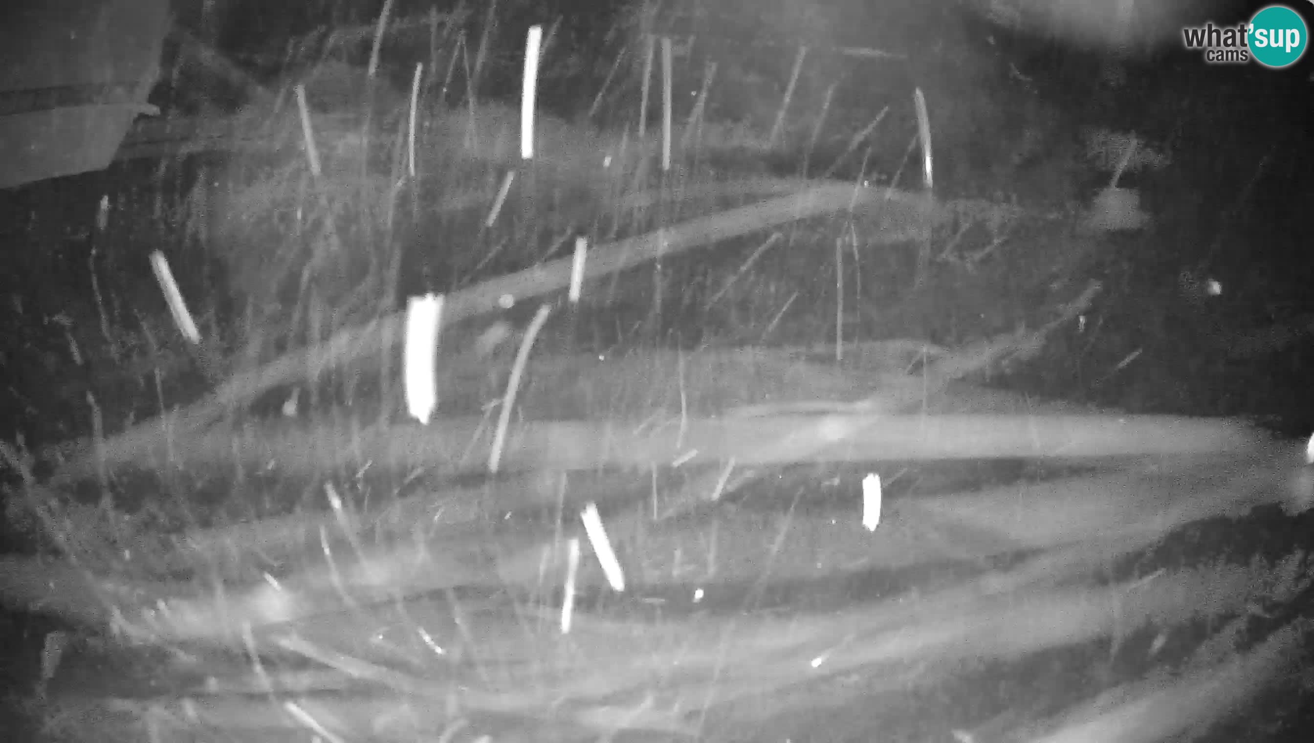 Cerkno Ski webcam Lom – Slovenia