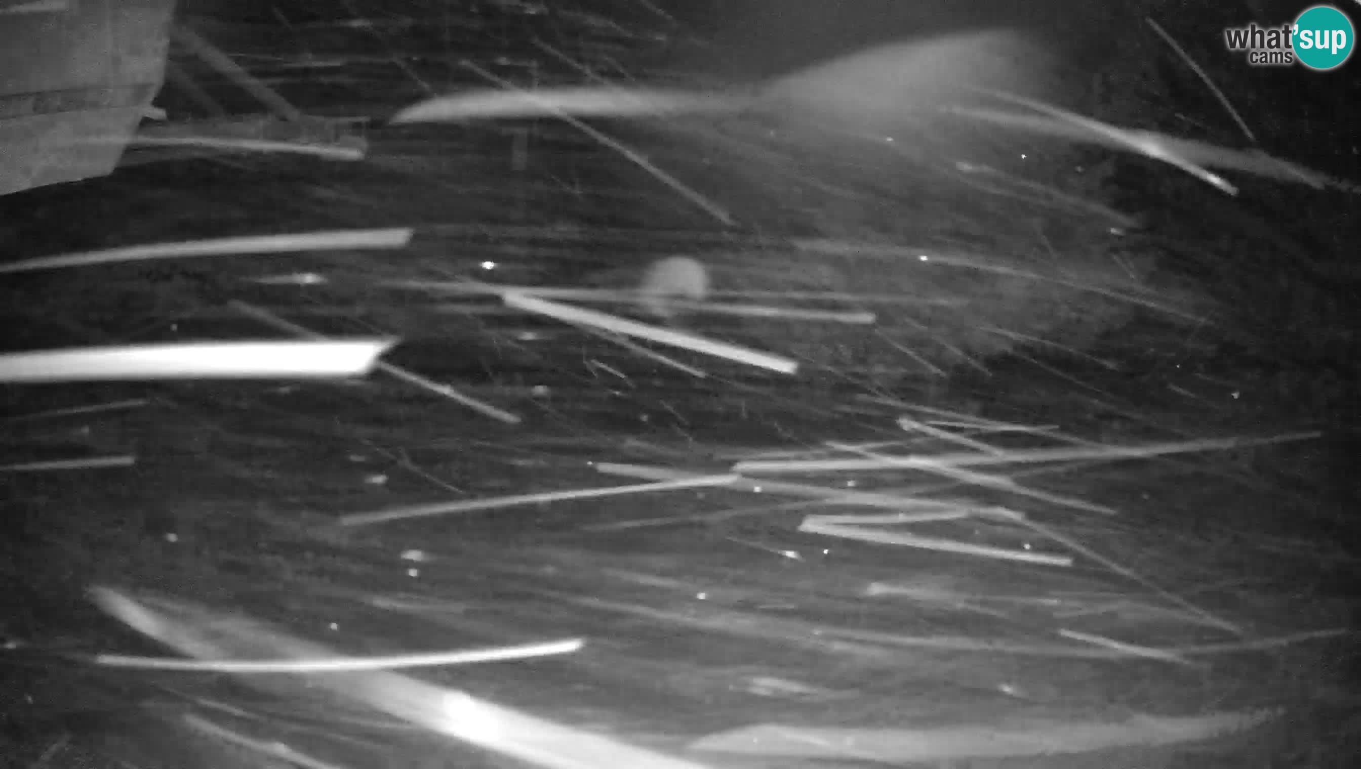 Skizentrum webcam Cerkno Lom – Slowenien