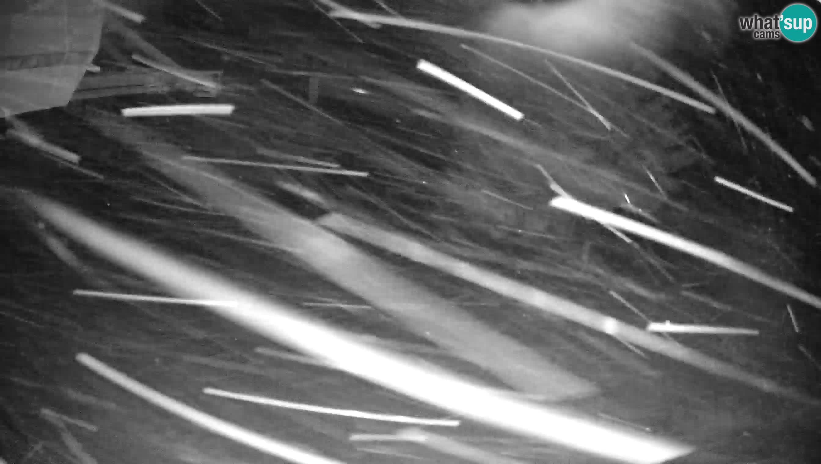 Smušišče Cerkno spletna kamera Lom zgornja proga