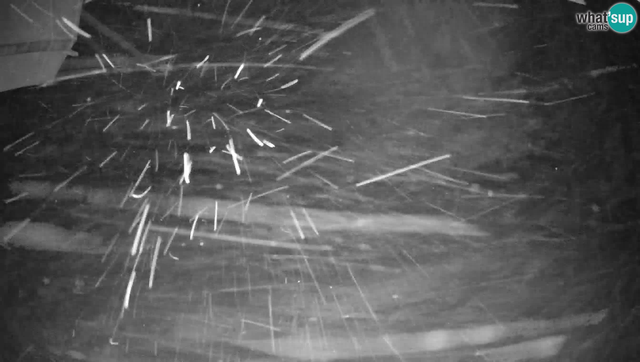 Skijalište Cerkno web kamera Lom – Slovenija