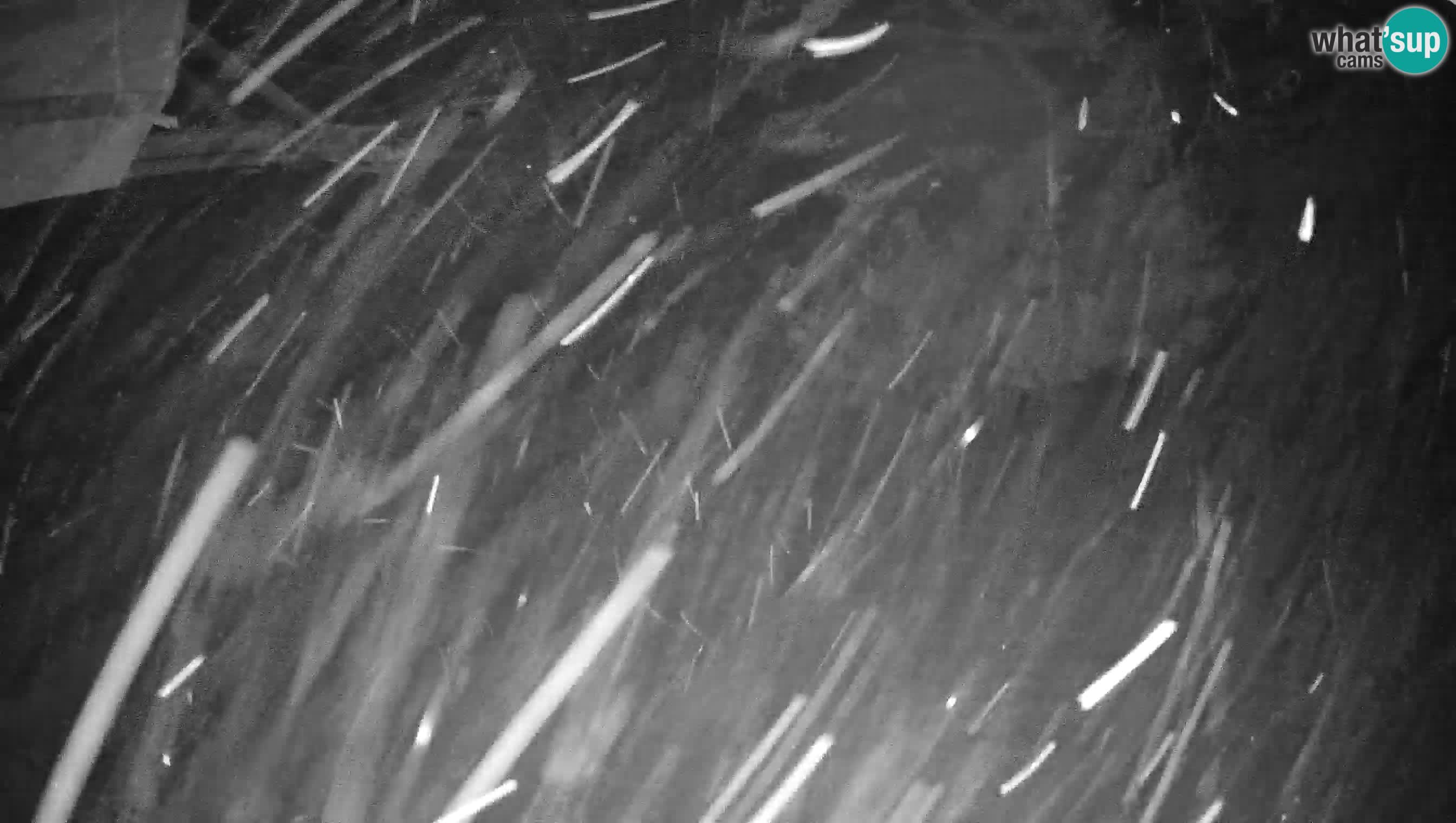 Ski Cerkno webcam Lom – Slovenia