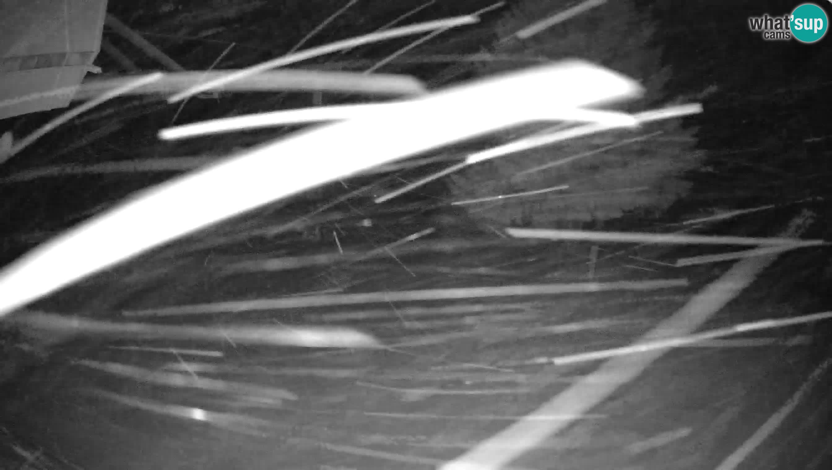 Ski Cerkno webcam Lom – Slovenia