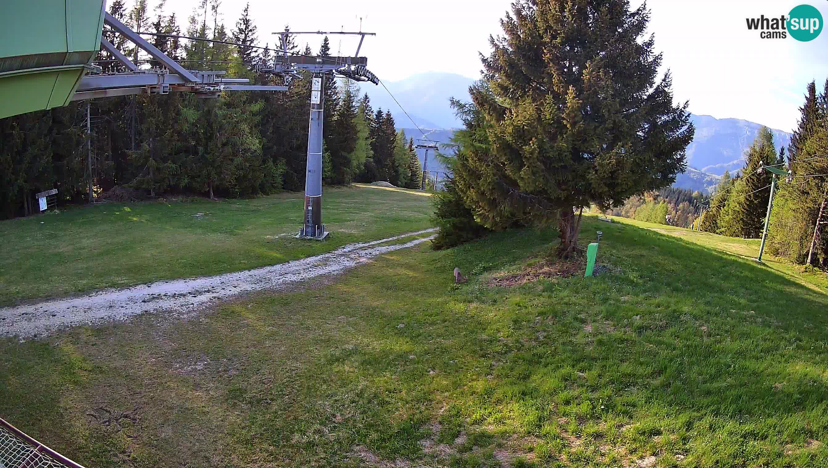 Ski Cerkno webcam Lom – Slovenia