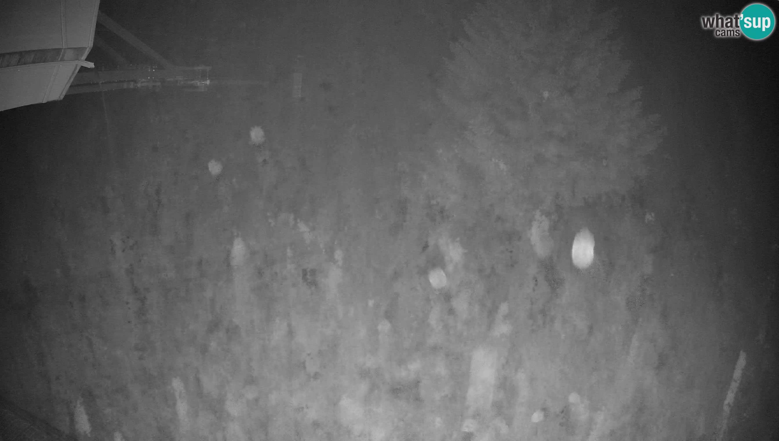 Ski Cerkno webcam Lom – Slovenia