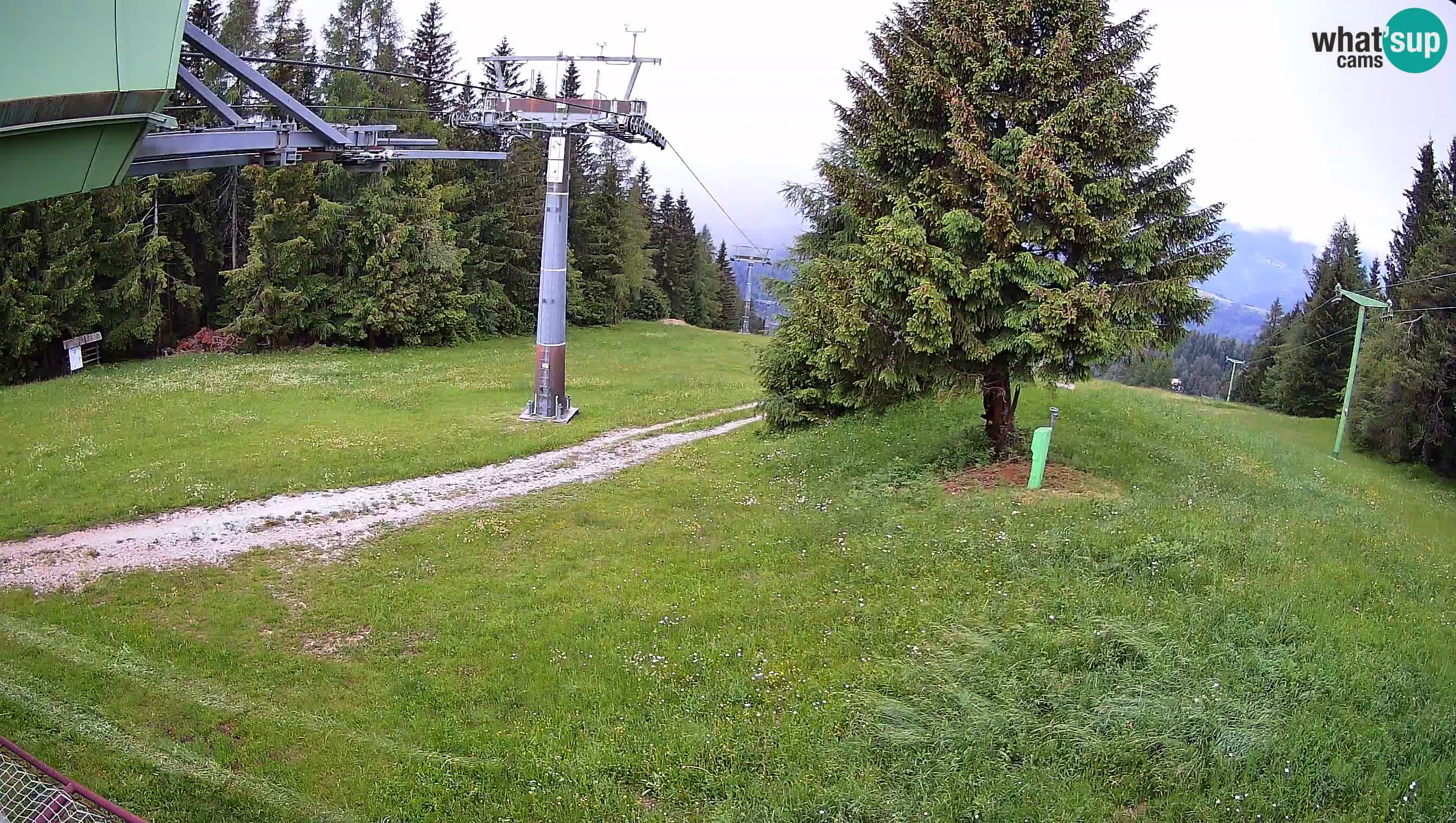 Smušišče Cerkno spletna kamera Lom zgornja proga