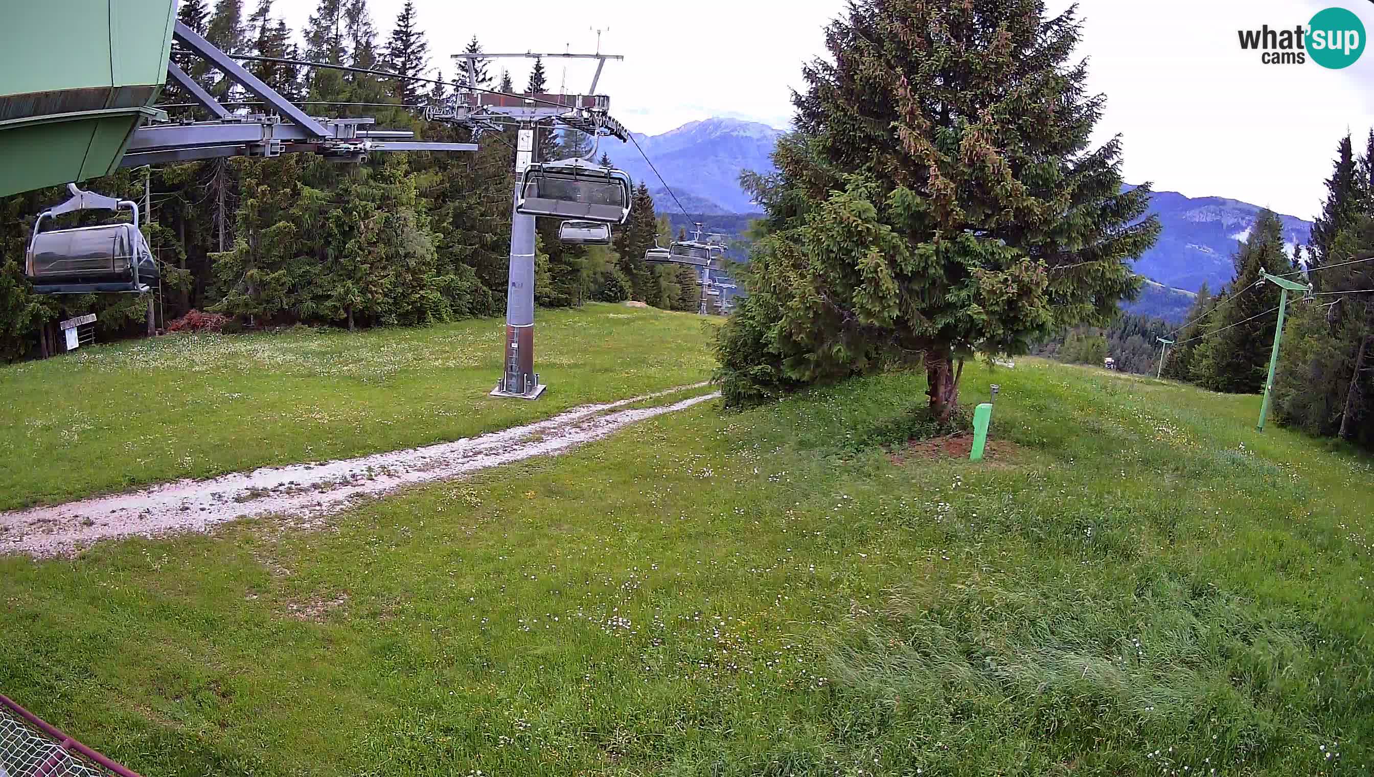 Smušišče Cerkno spletna kamera Lom zgornja proga
