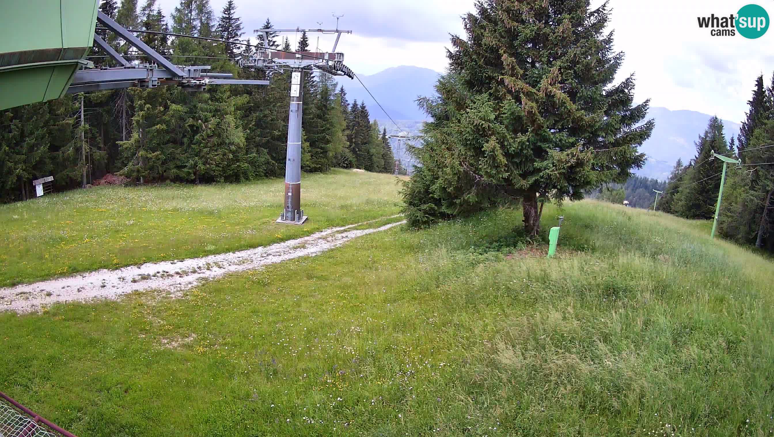 Smušišče Cerkno spletna kamera Lom zgornja proga