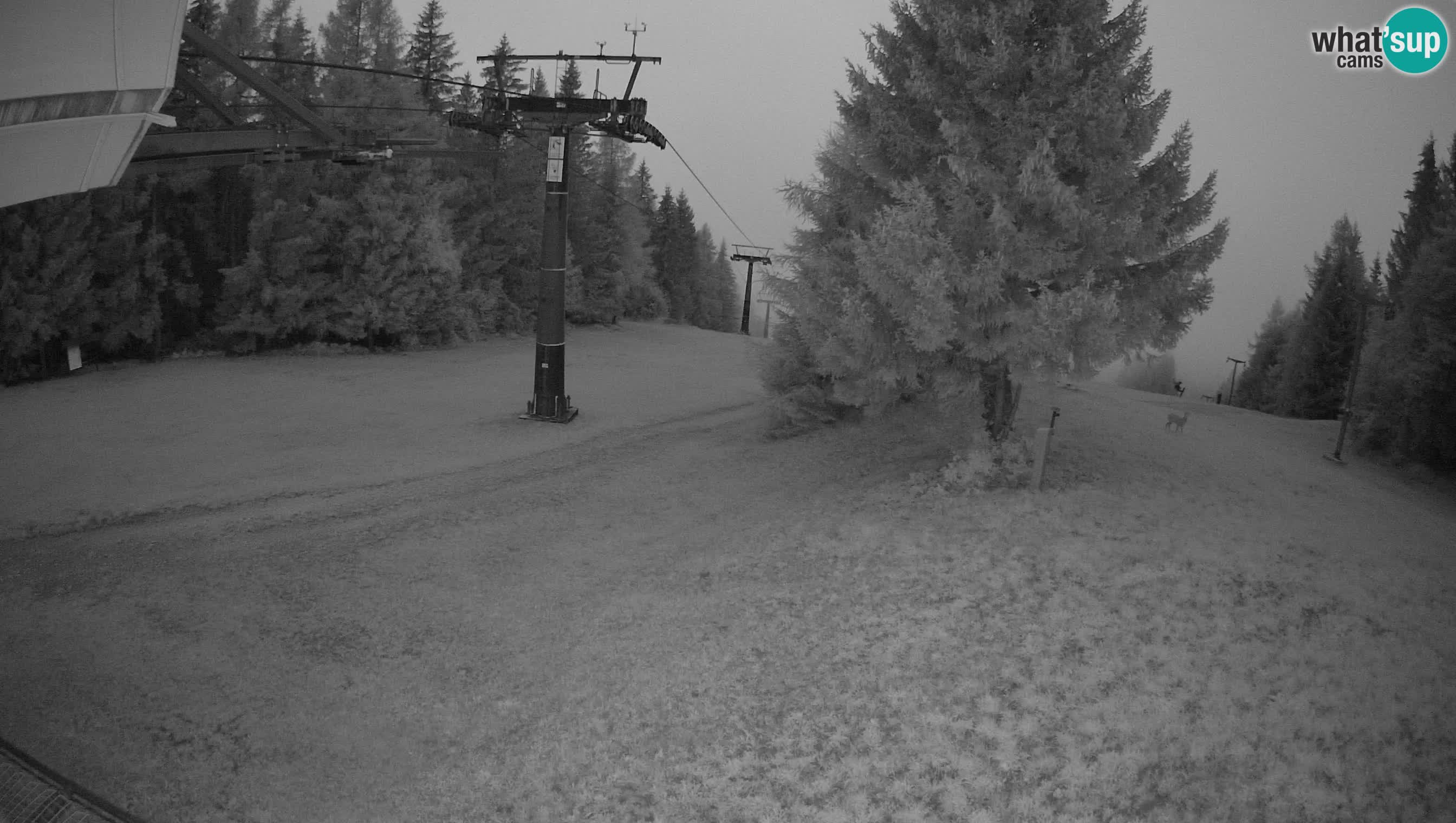 Skizentrum webcam Cerkno Lom – Slowenien
