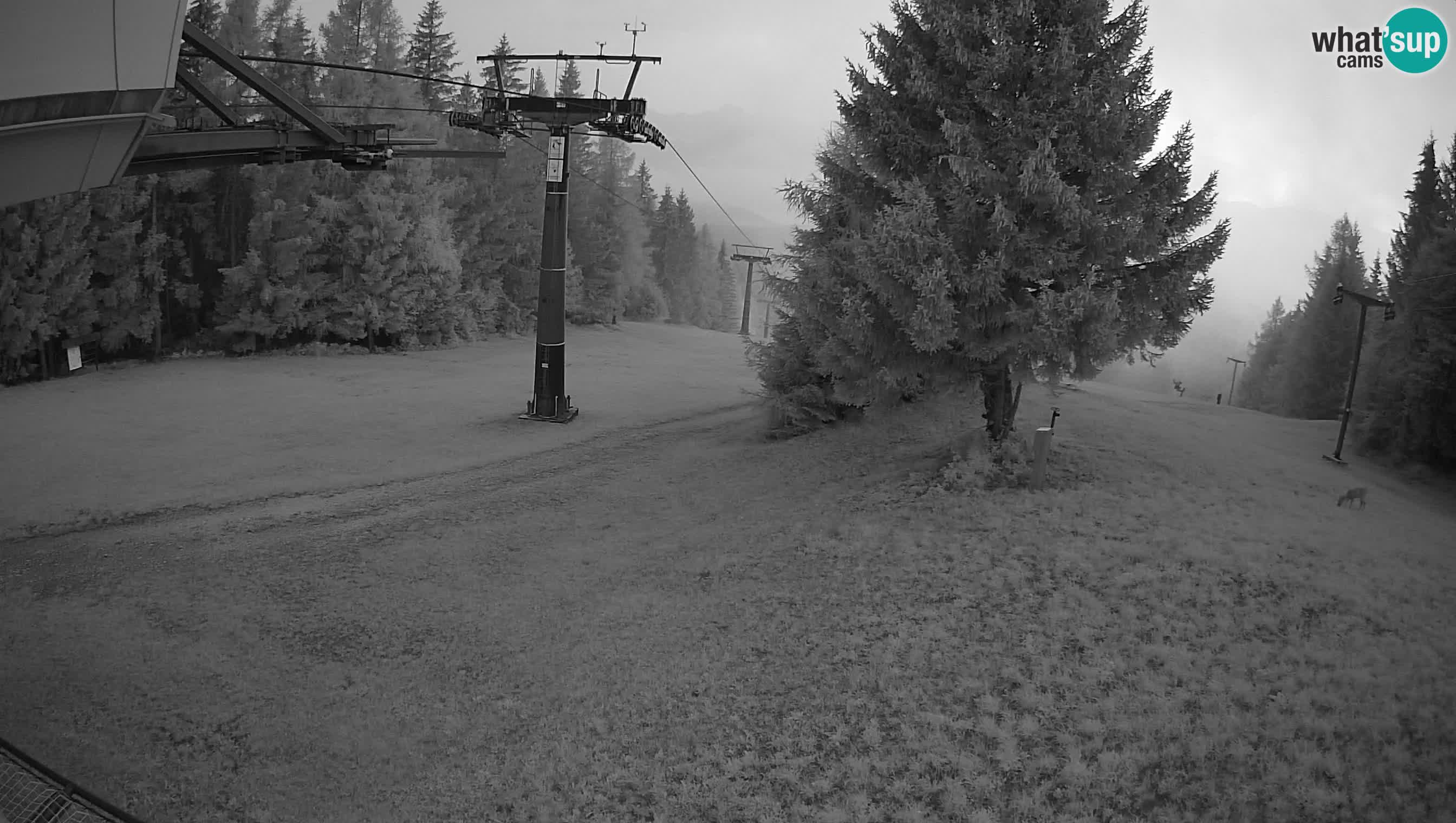 Cerkno Ski webcam Lom – Slovenia