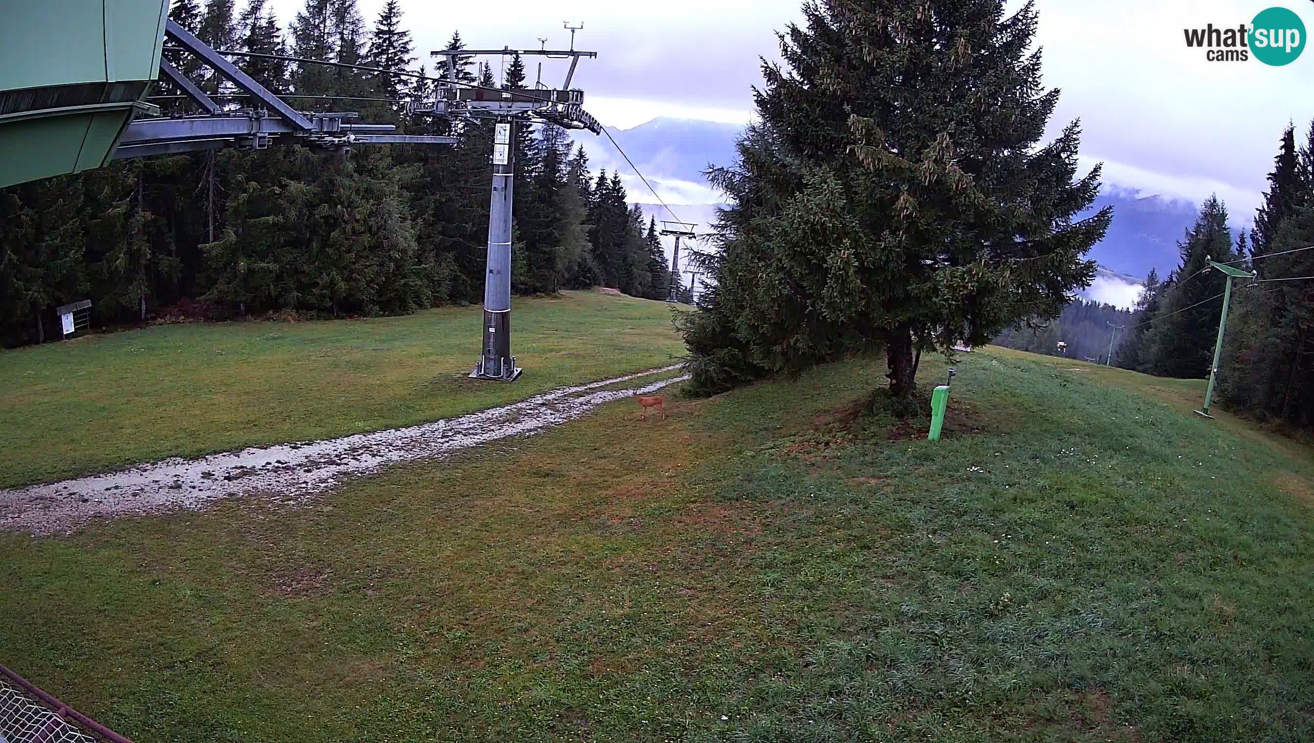 Centre de ski de Cerkno webcam Lom – Slovénie