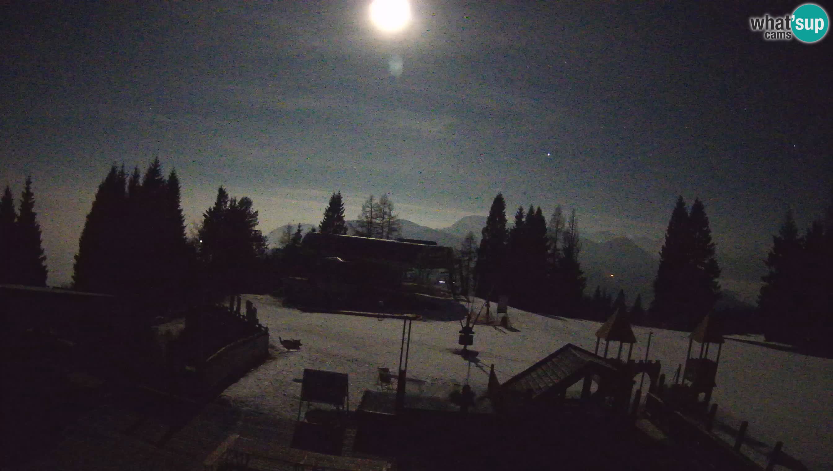 Cámara web Počivalo – Alpska Perla | Vista en vivo desde la estación de esquí Cerkno