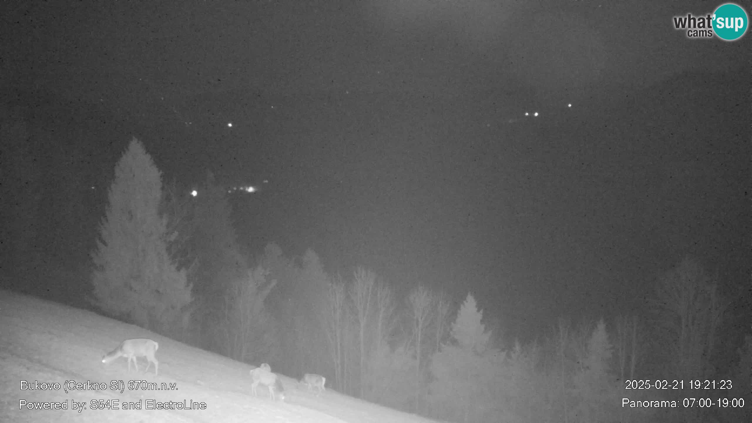 Webcam Bukovo – Baška grapa | Cerkno | Slovenia