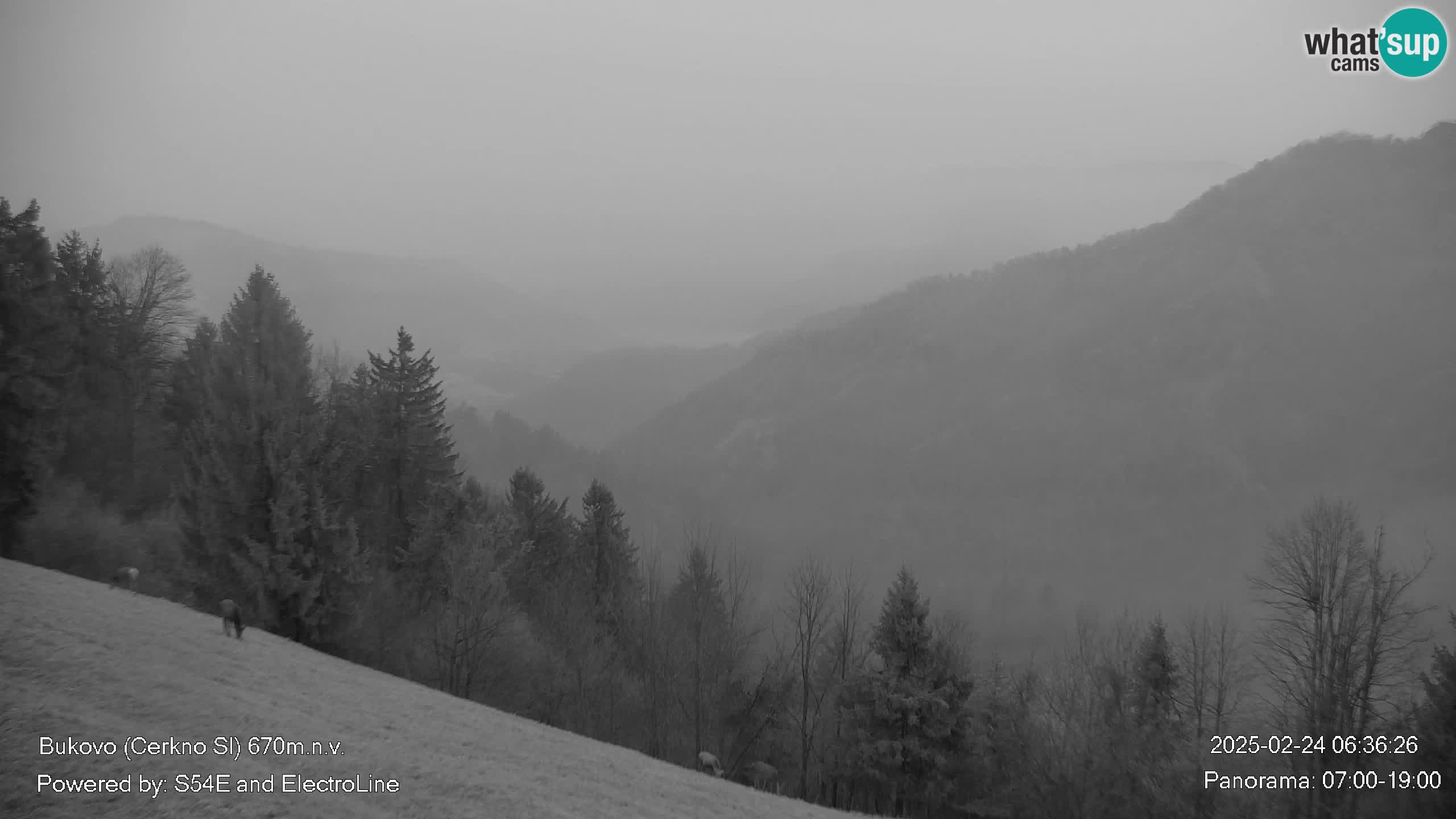 Bukovo Webcam – Baška grapa | Cerkno | Slowenien