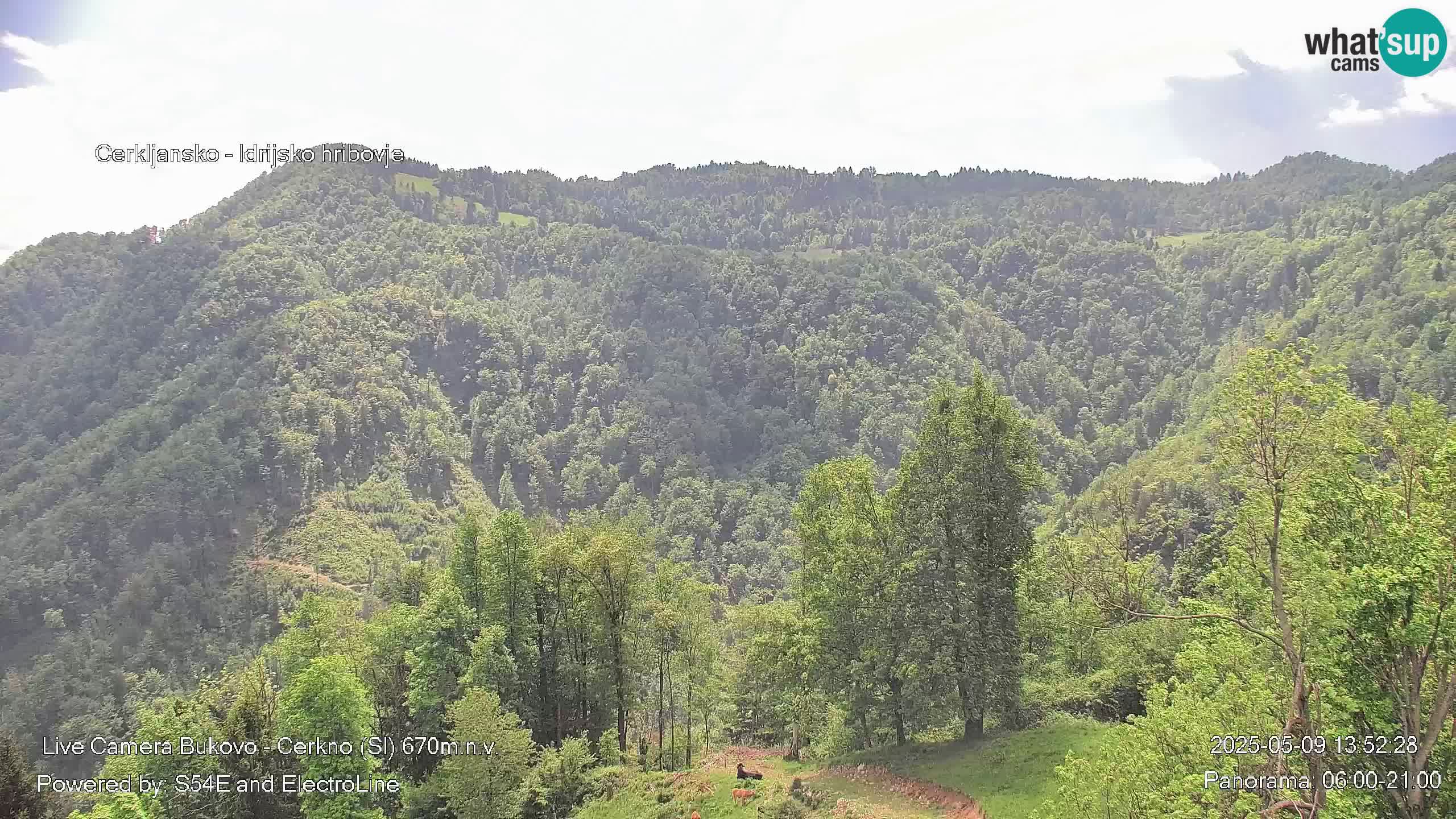 Webcam Bukovo – Baška grapa | Cerkno | Slovenia