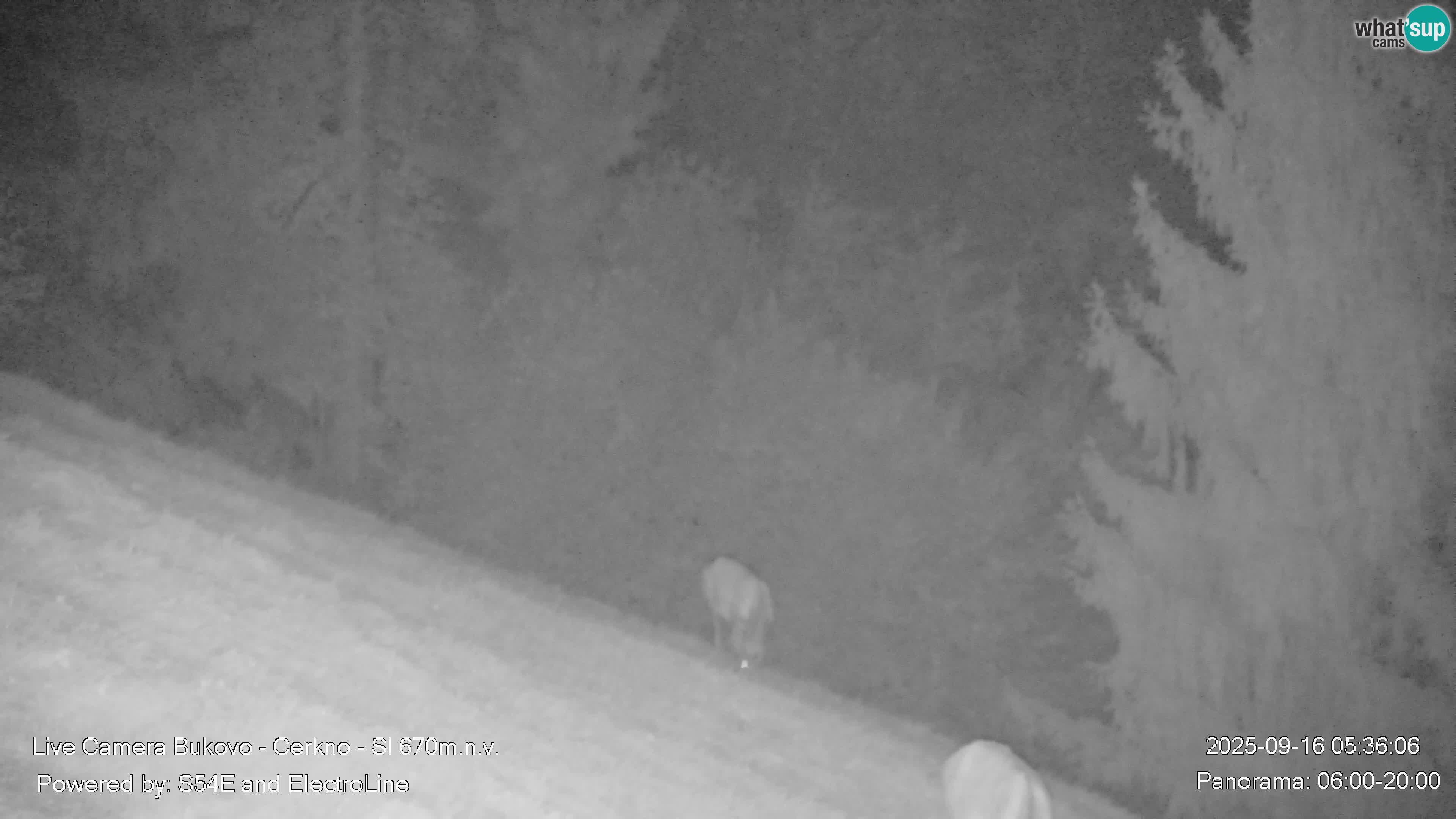 Bukovo Webcam – Baška grapa | Cerkno | Slowenien