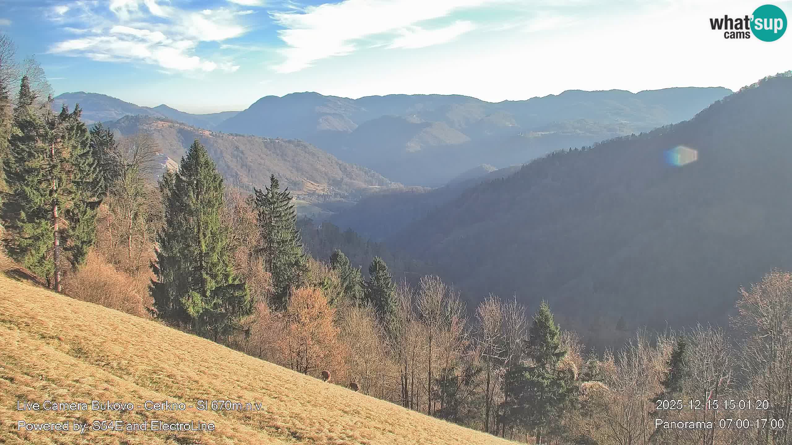 Bukovo Webcam – Baška grapa | Cerkno | Slowenien