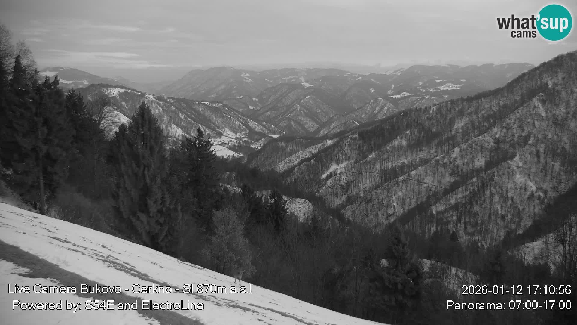 Kamera Bukovo – Baška grapa | Cerkno
