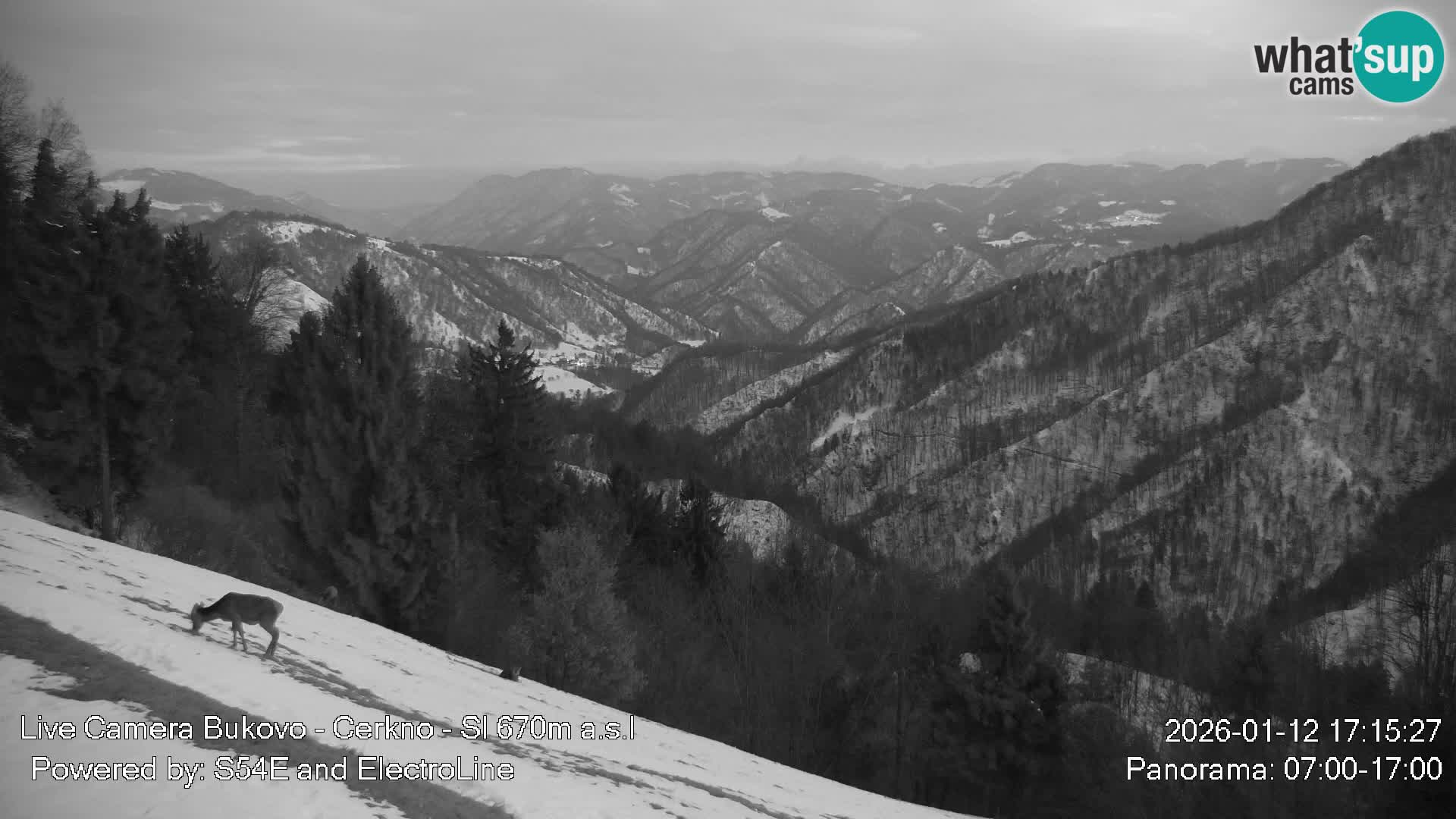 Webcam Bukovo – Baška grapa | Cerkno | Slovenia
