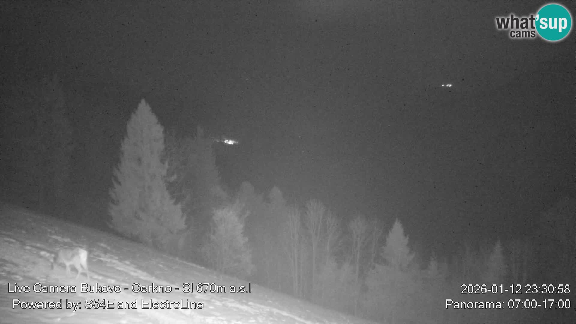 Webcam Bukovo – Baška grapa | Cerkno | Slovenia