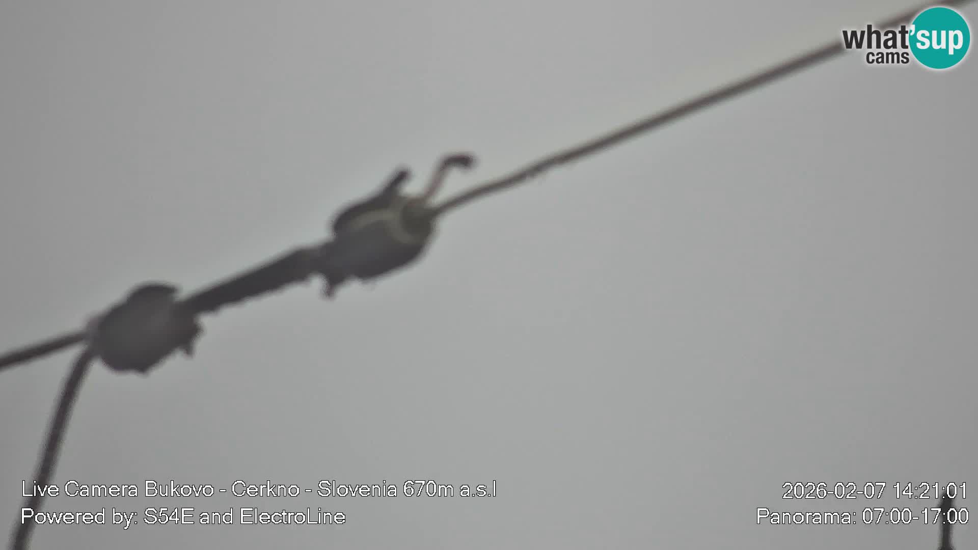 Webcam Bukovo – Baška grapa | Cerkno | Slovénie