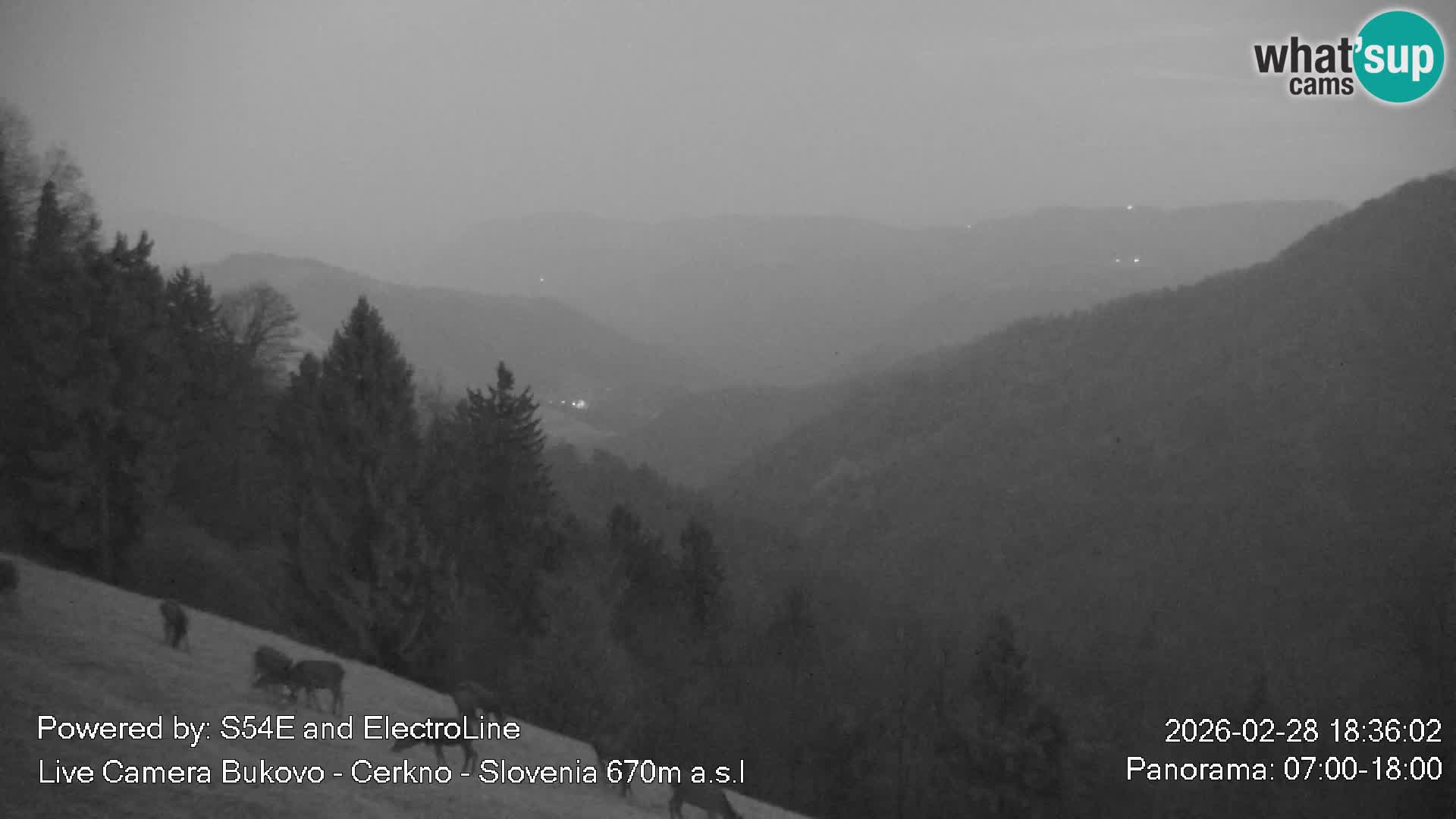 Webcam Bukovo – Baška grapa | Cerkno | Slovenia